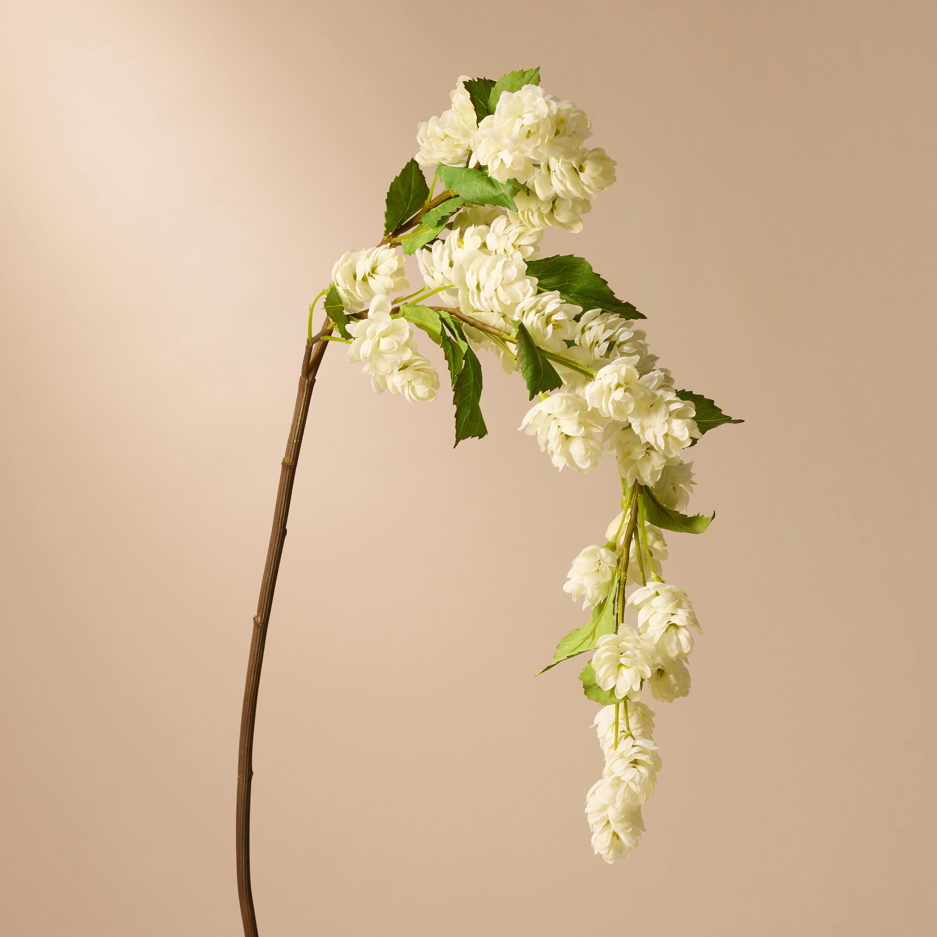 Faux Hops Flower Stem | White - 97cm