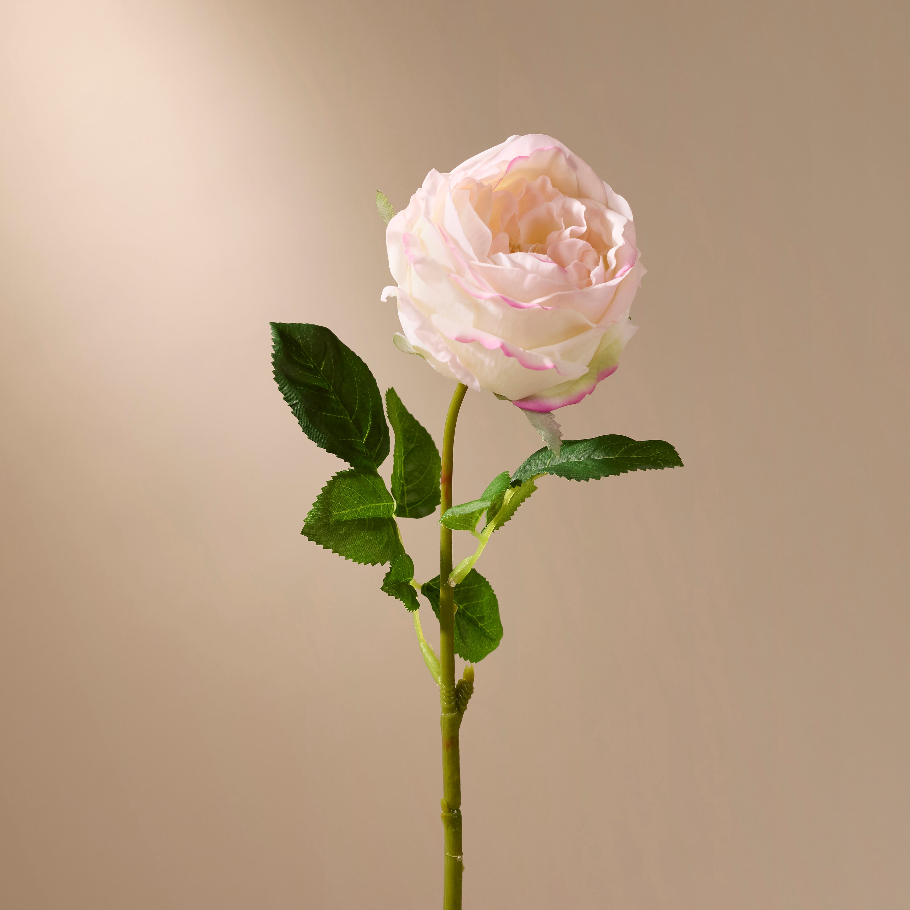 Faux Austin Rose Stem | Light Pink - 45cm