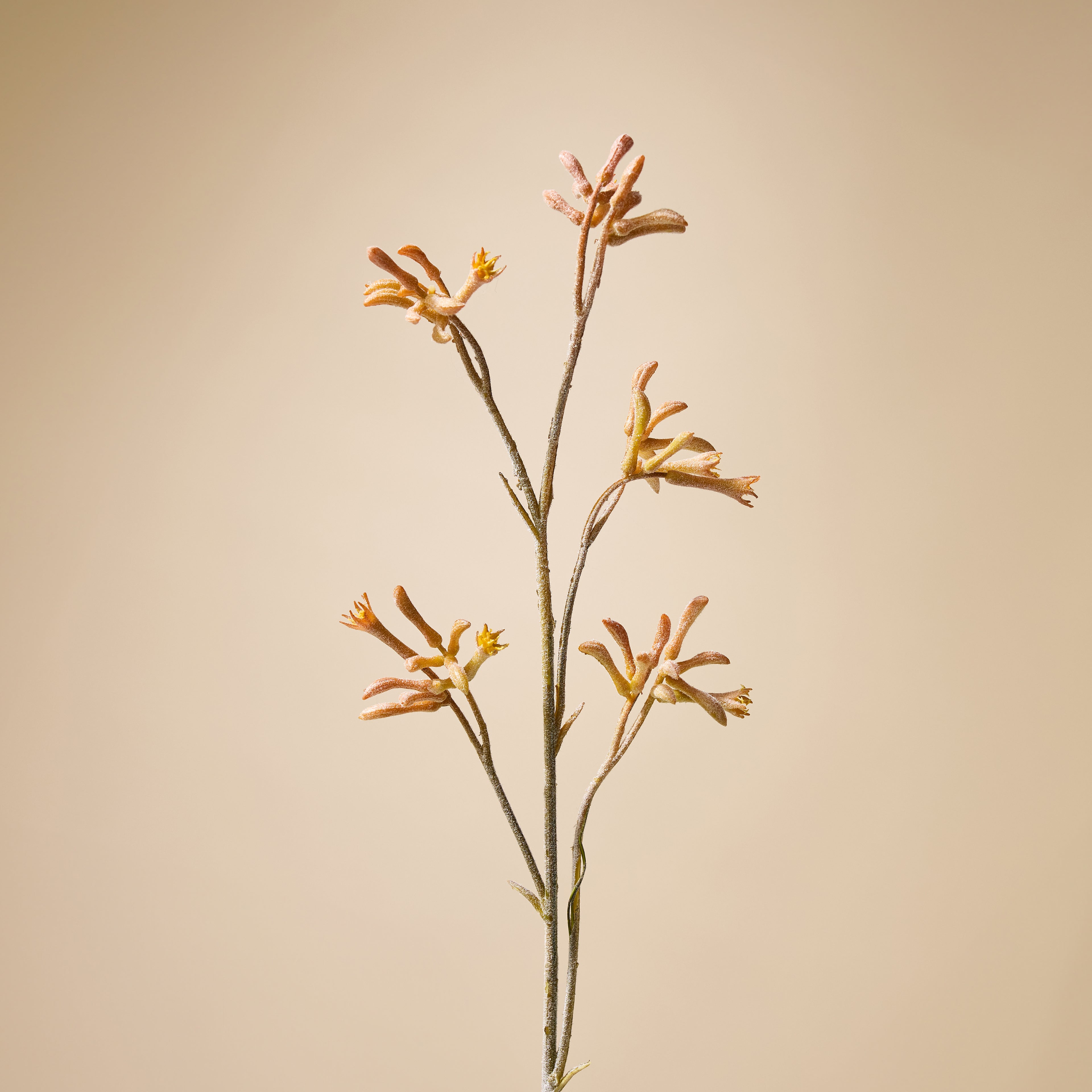 Faux Kangaroo Paw Spray | Yellow - 84cm