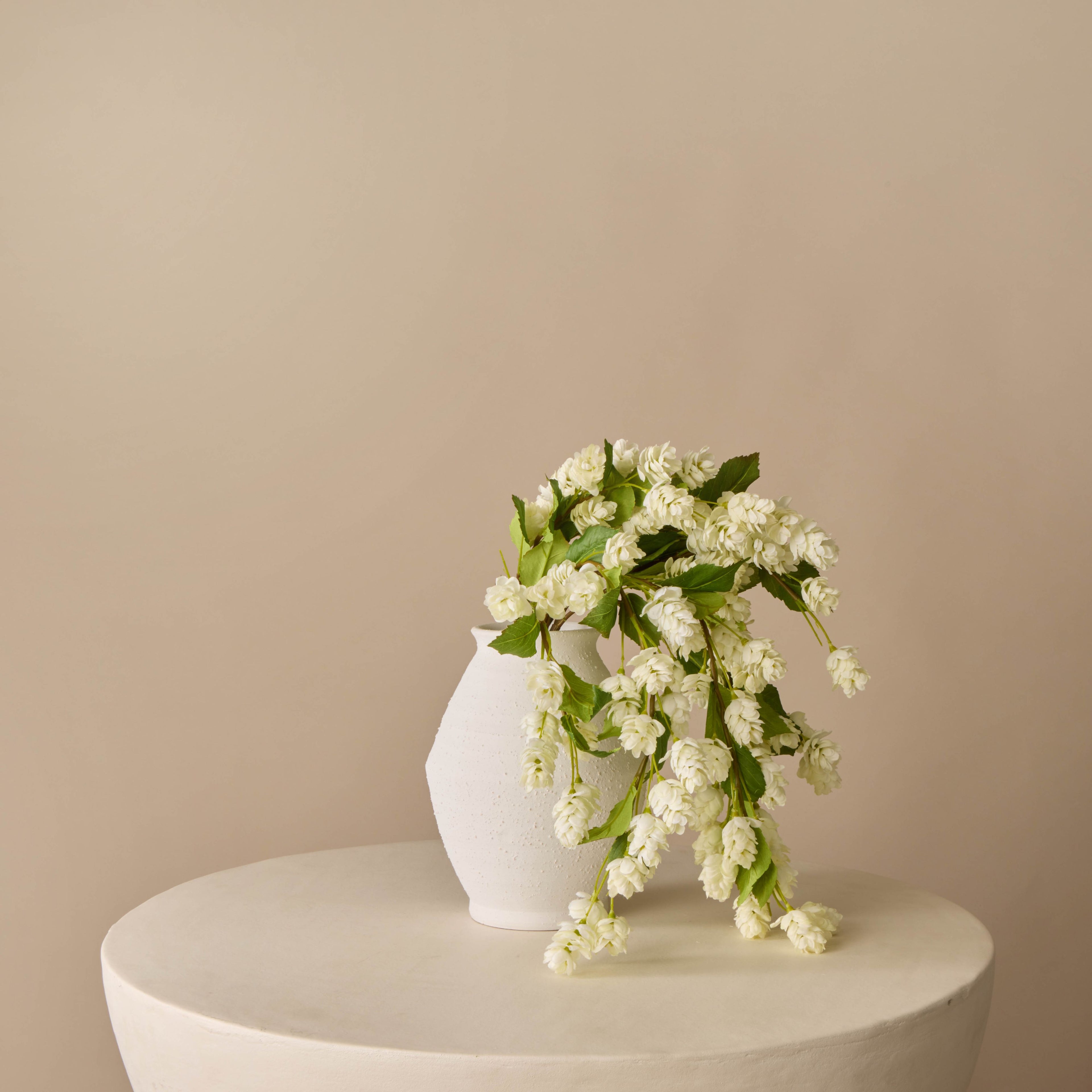 Hops Flower Stem - Bedford Vase 23cm | Three Birds Set