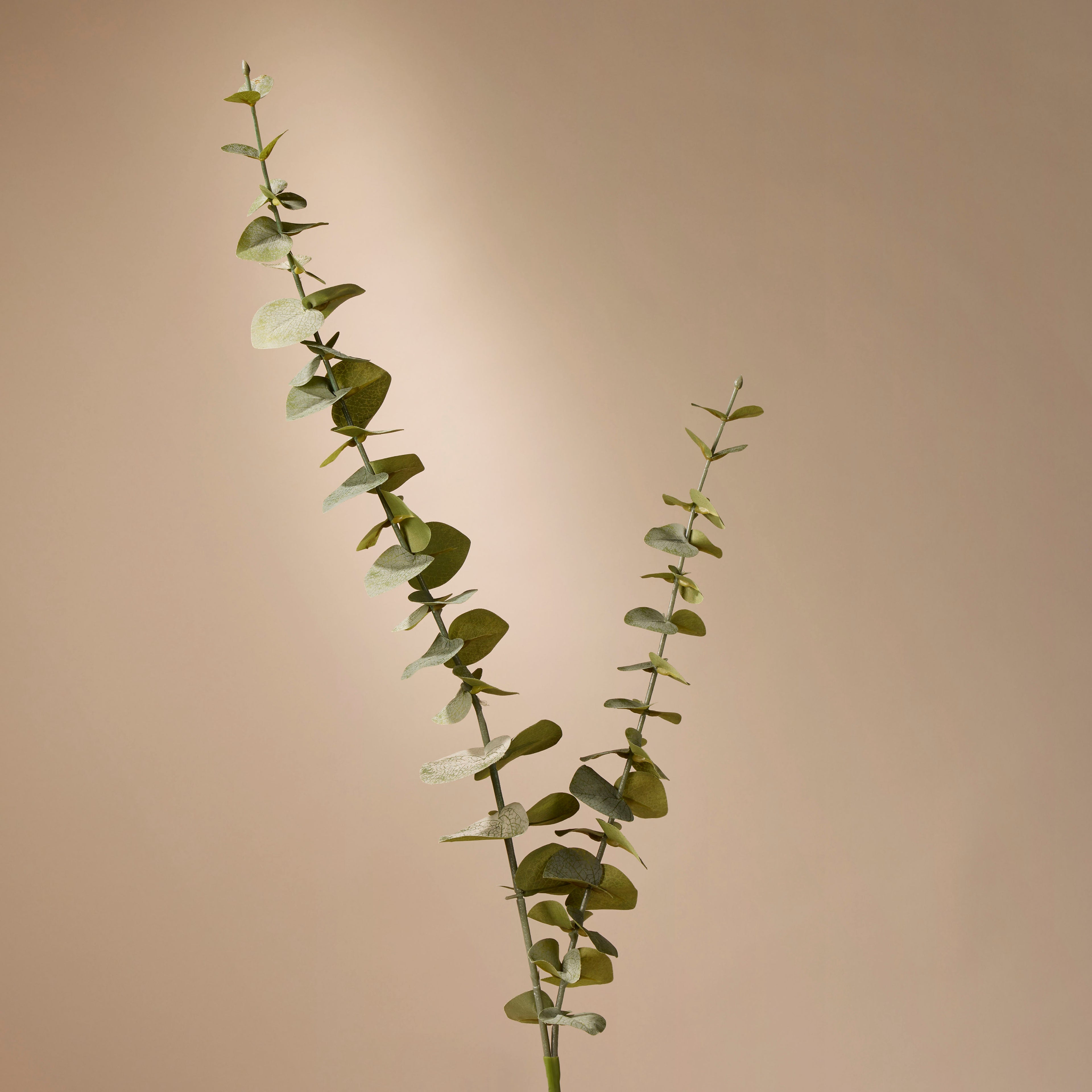 Faux Spiral Eucalyptus Spray | 84cm