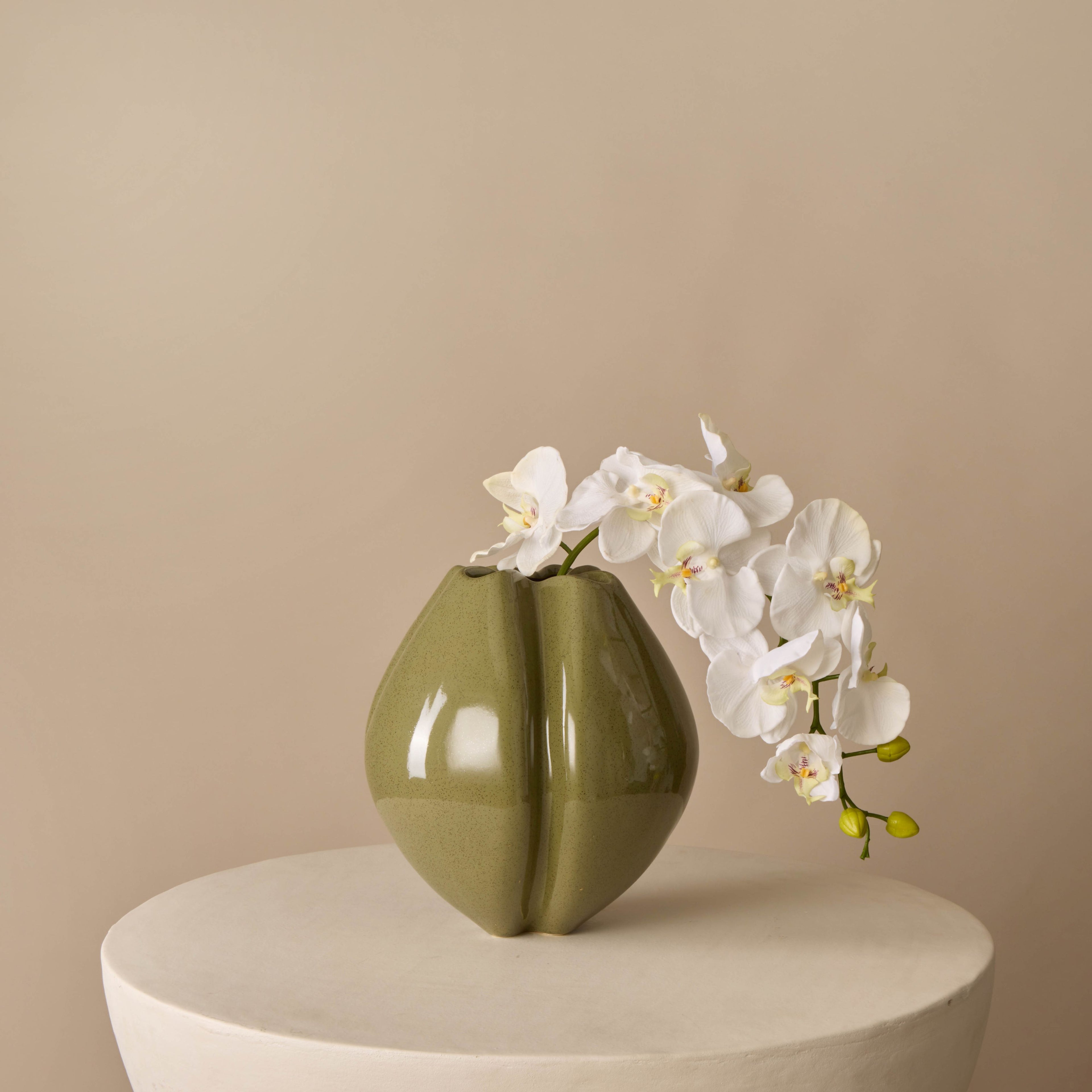 Phalaenopsis Orchid Spray - Bambi Vase 28cm | Three Birds Set
