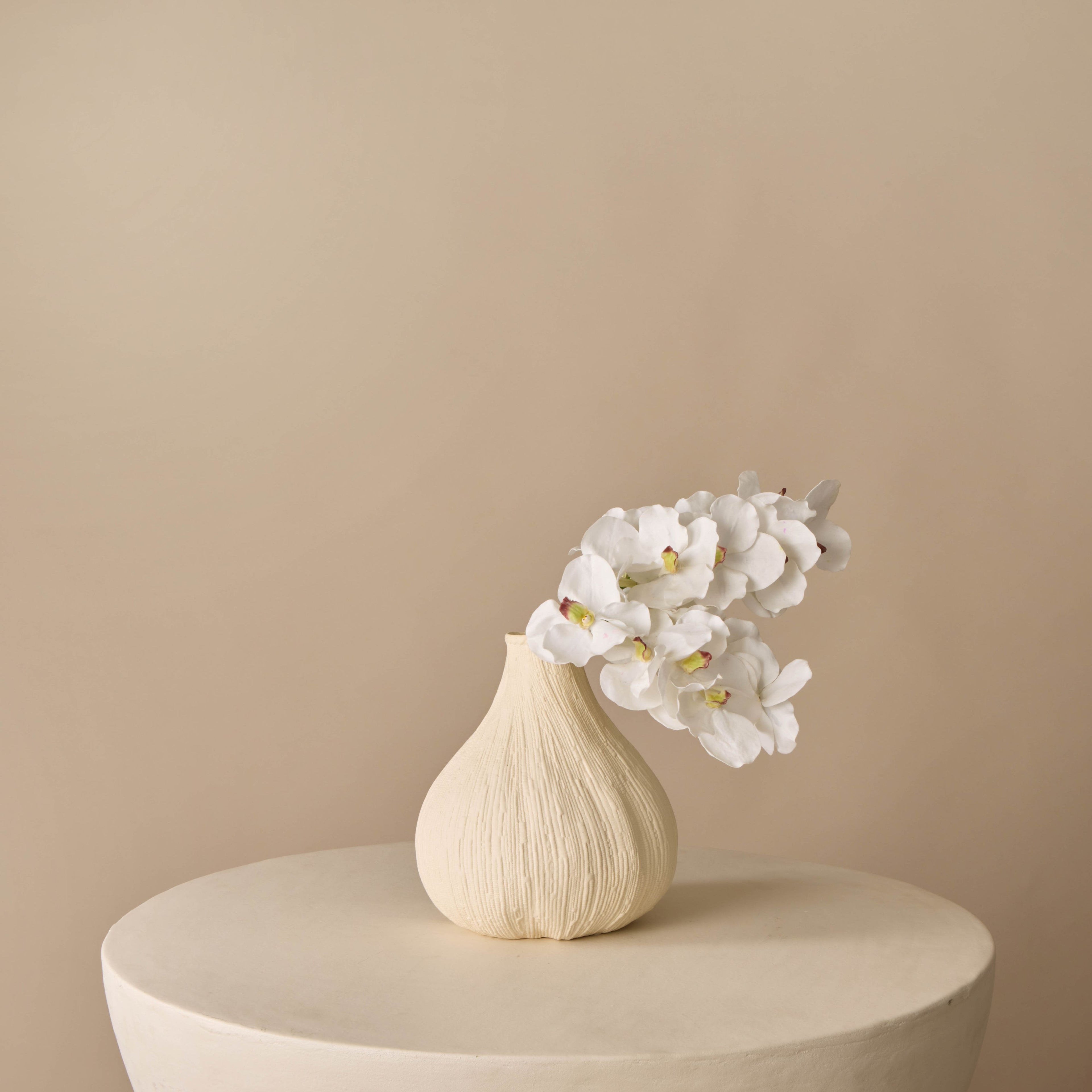 Vanda Orchid 66cm - Eugenia Clay Vase 23cm | Three Birds Set