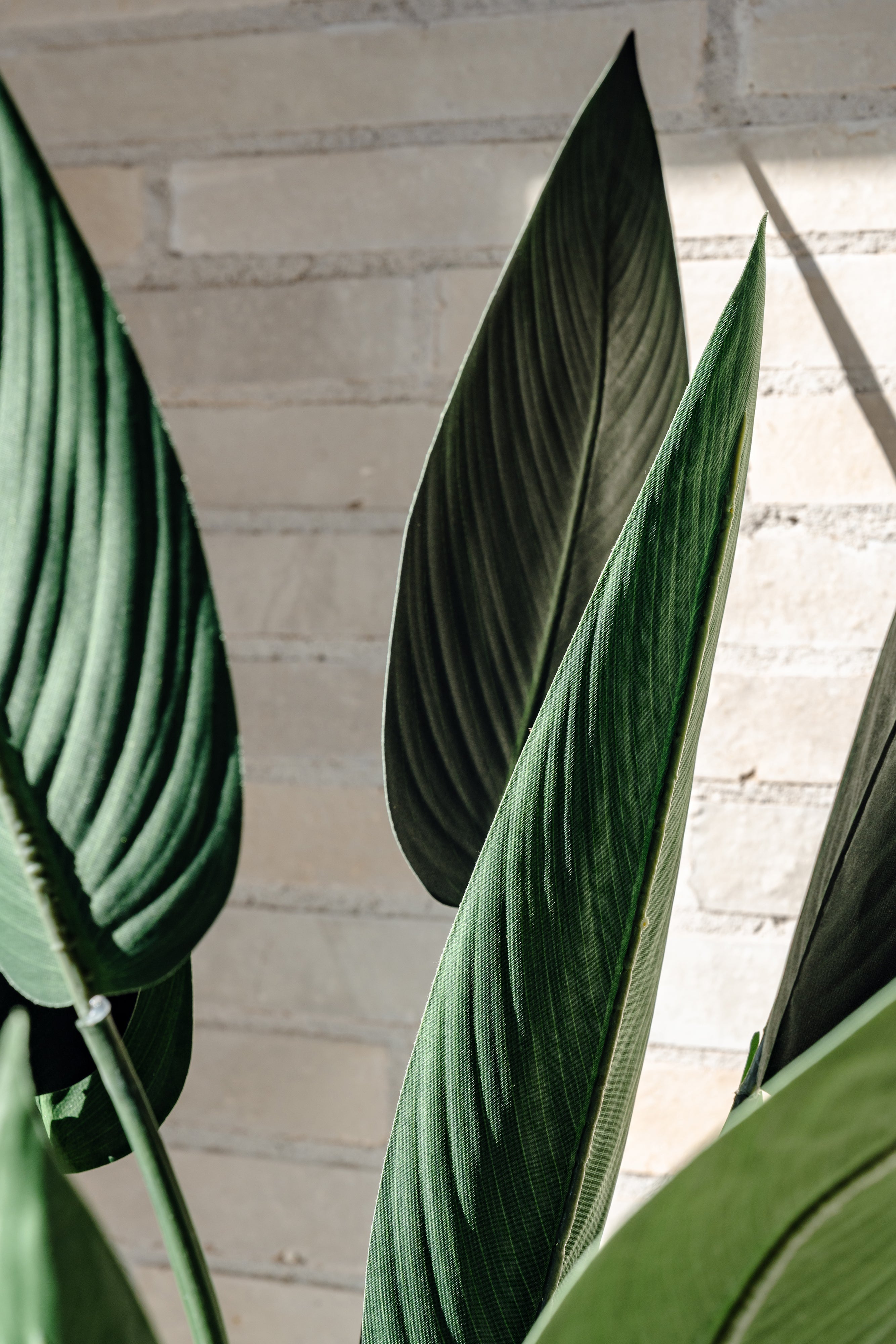 Faux Sky Bird Plant | 120cm