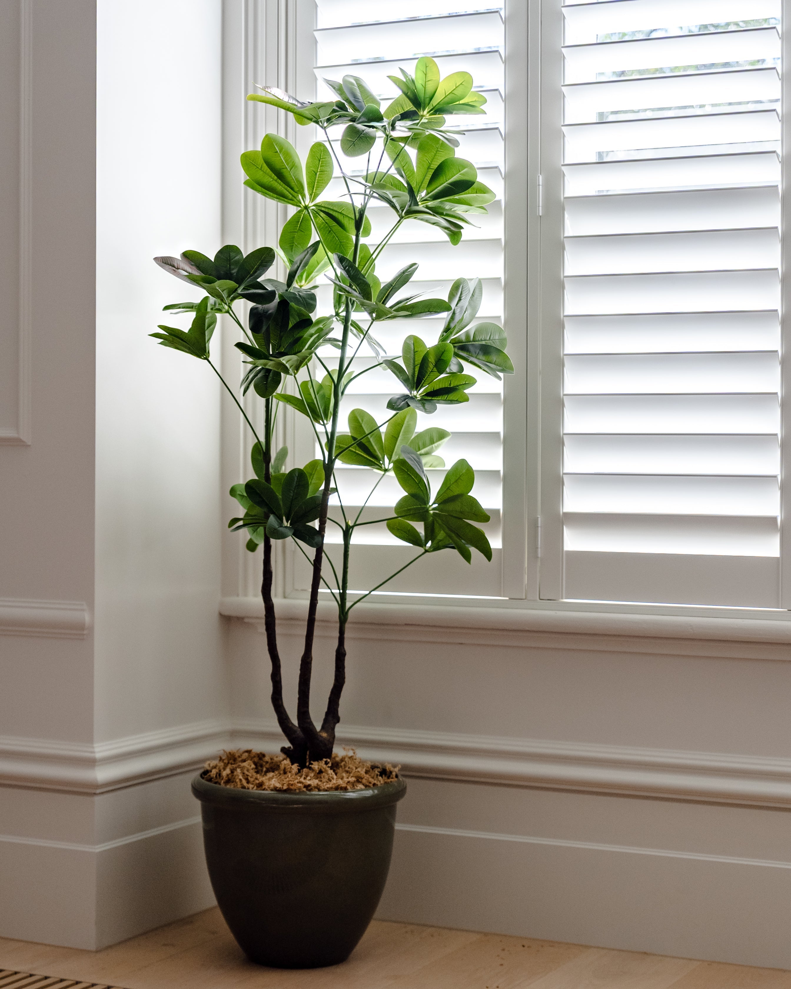 Faux Umbrella Tree - Garden Pot | 150cm