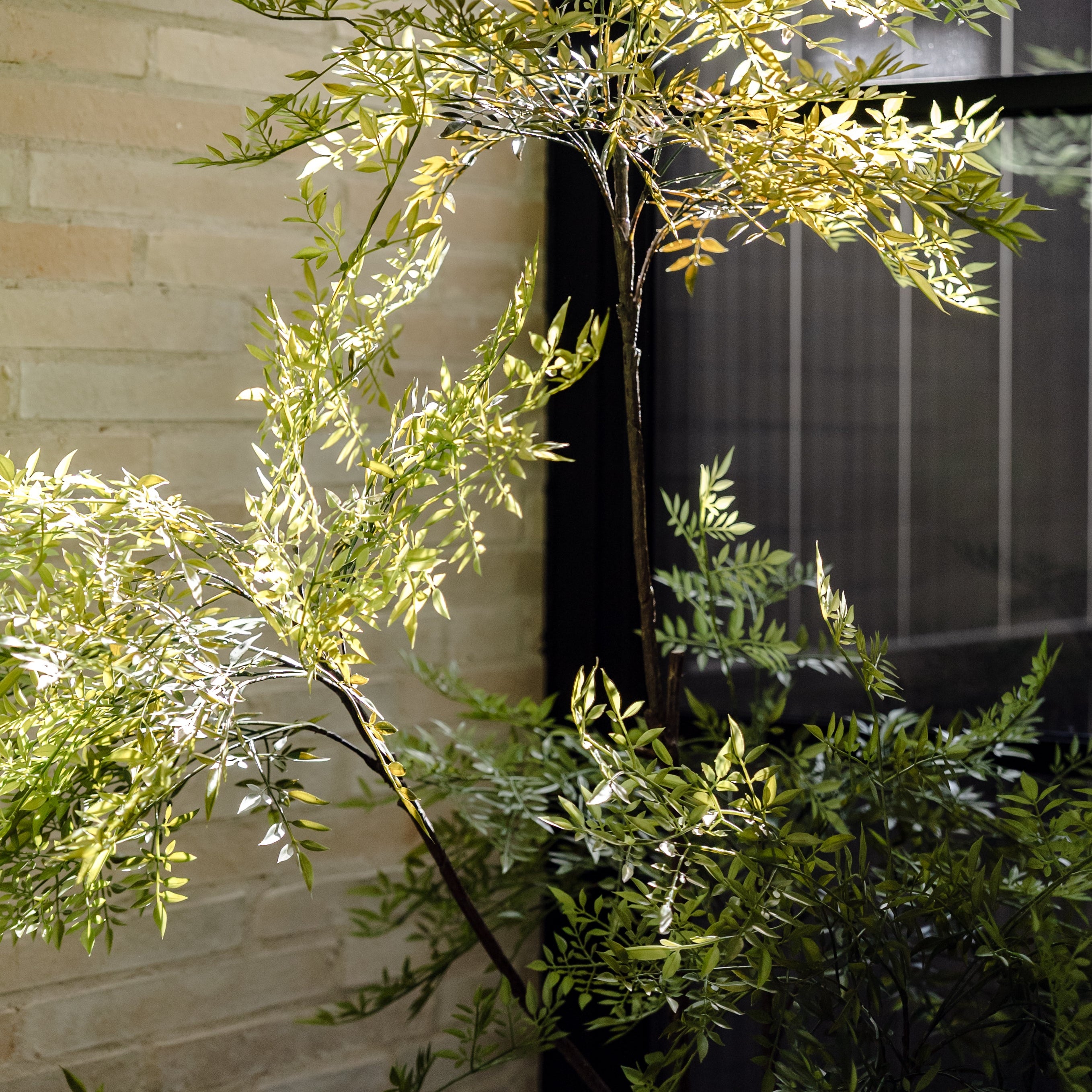 Faux Ficus Tree | 183cm