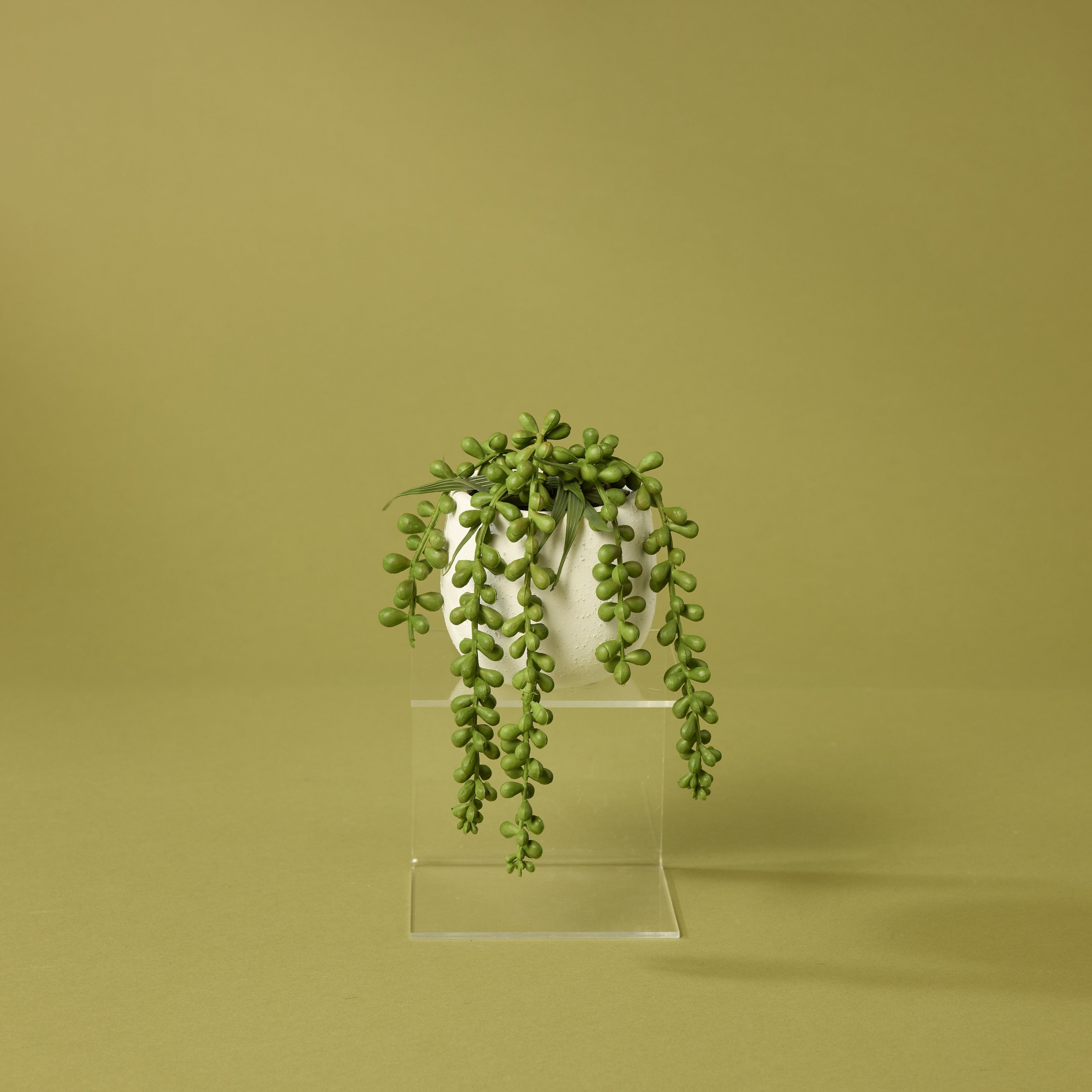 Faux Hanging Pearls - Tub Pot | 22cm