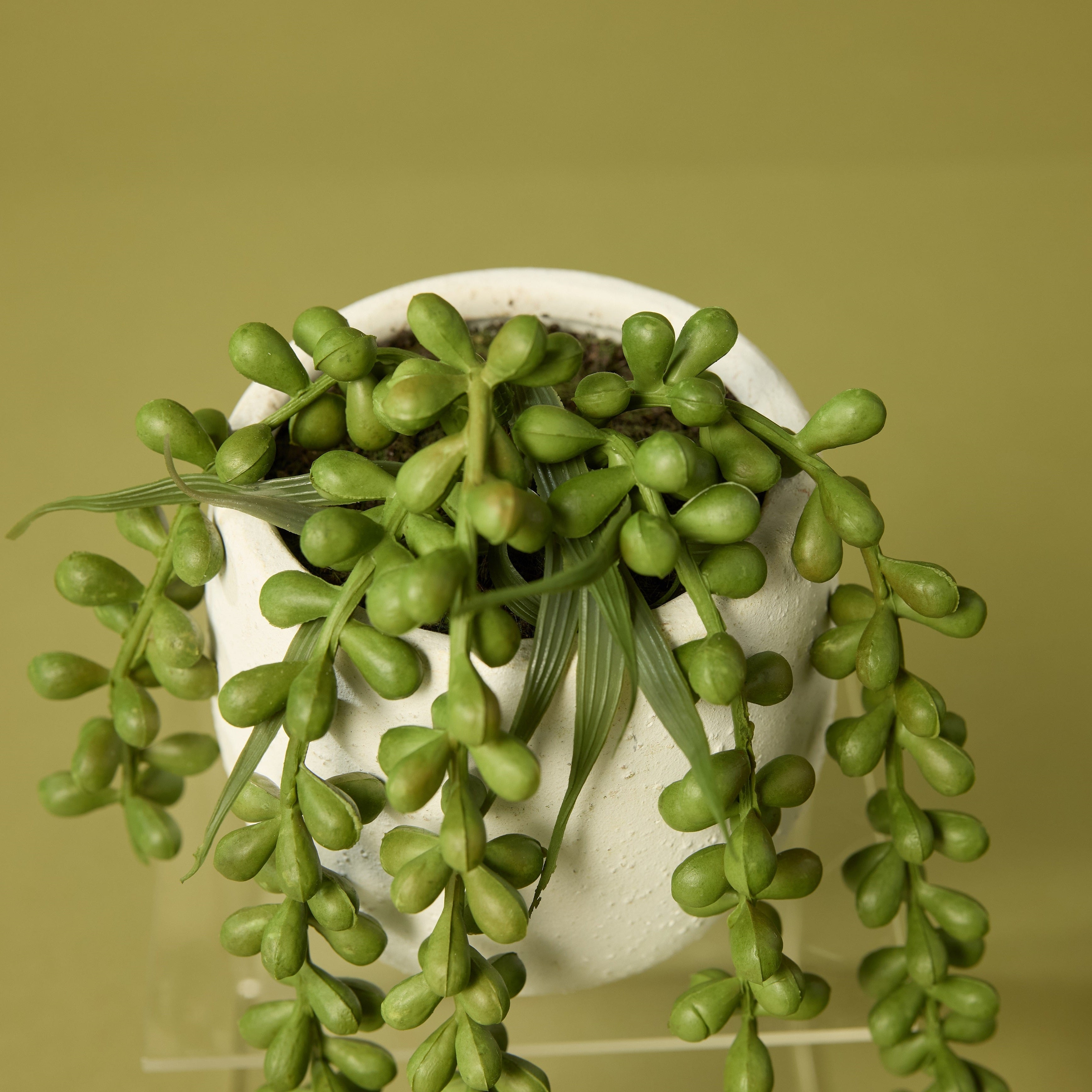 Faux Hanging Pearls - Tub Pot | 22cm