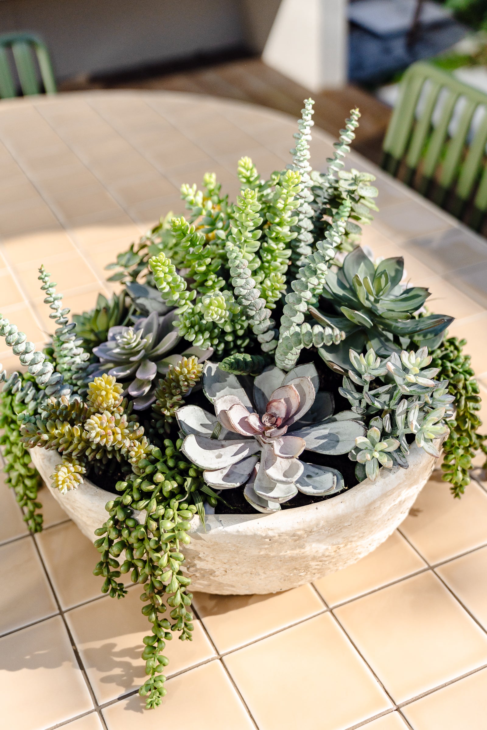 Faux Succulent Garden - Textured Cement Pot | 30cm