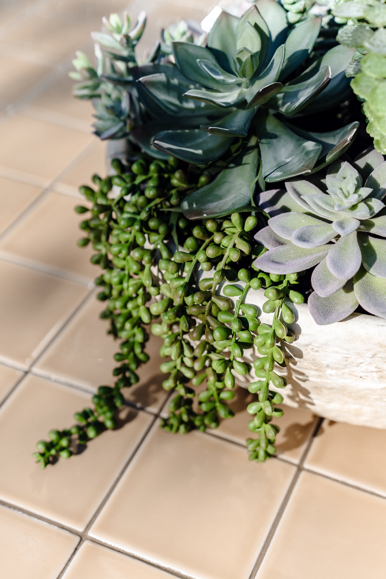 Faux Succulent Garden - Textured Cement Pot | 30cm