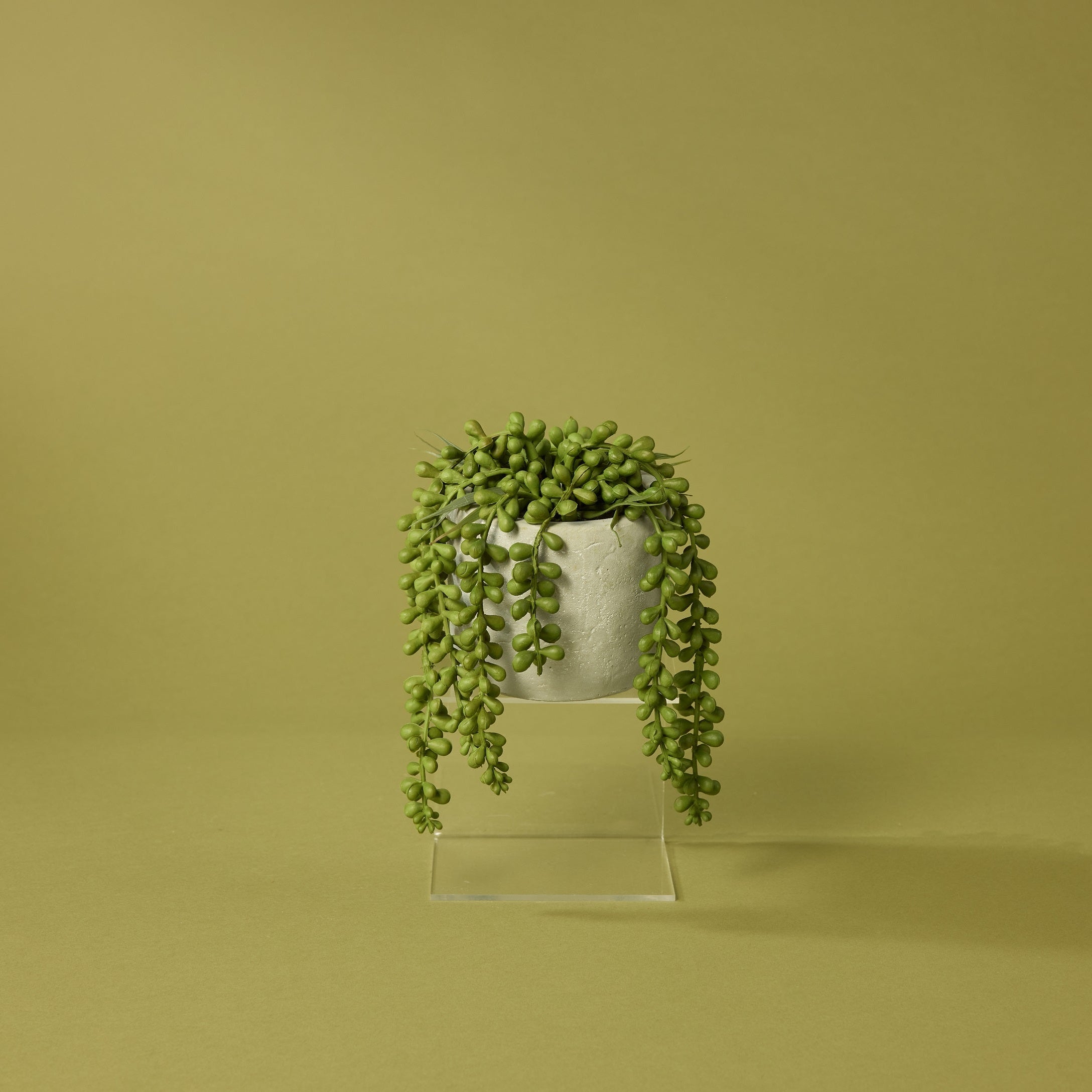 Faux String of Pearls - Cement Pot | 27cm