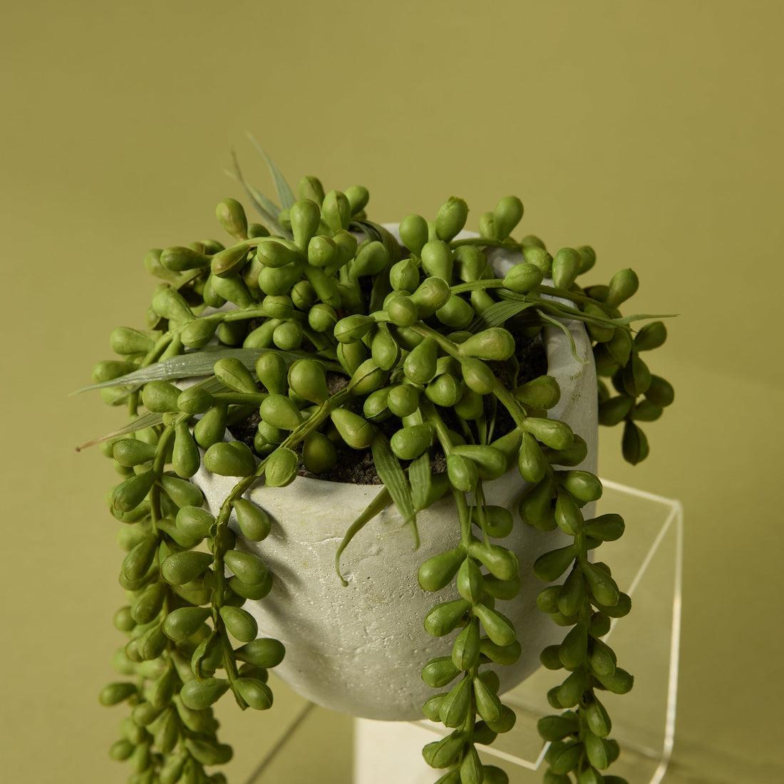 Faux String of Pearls - Cement Pot | 27cm