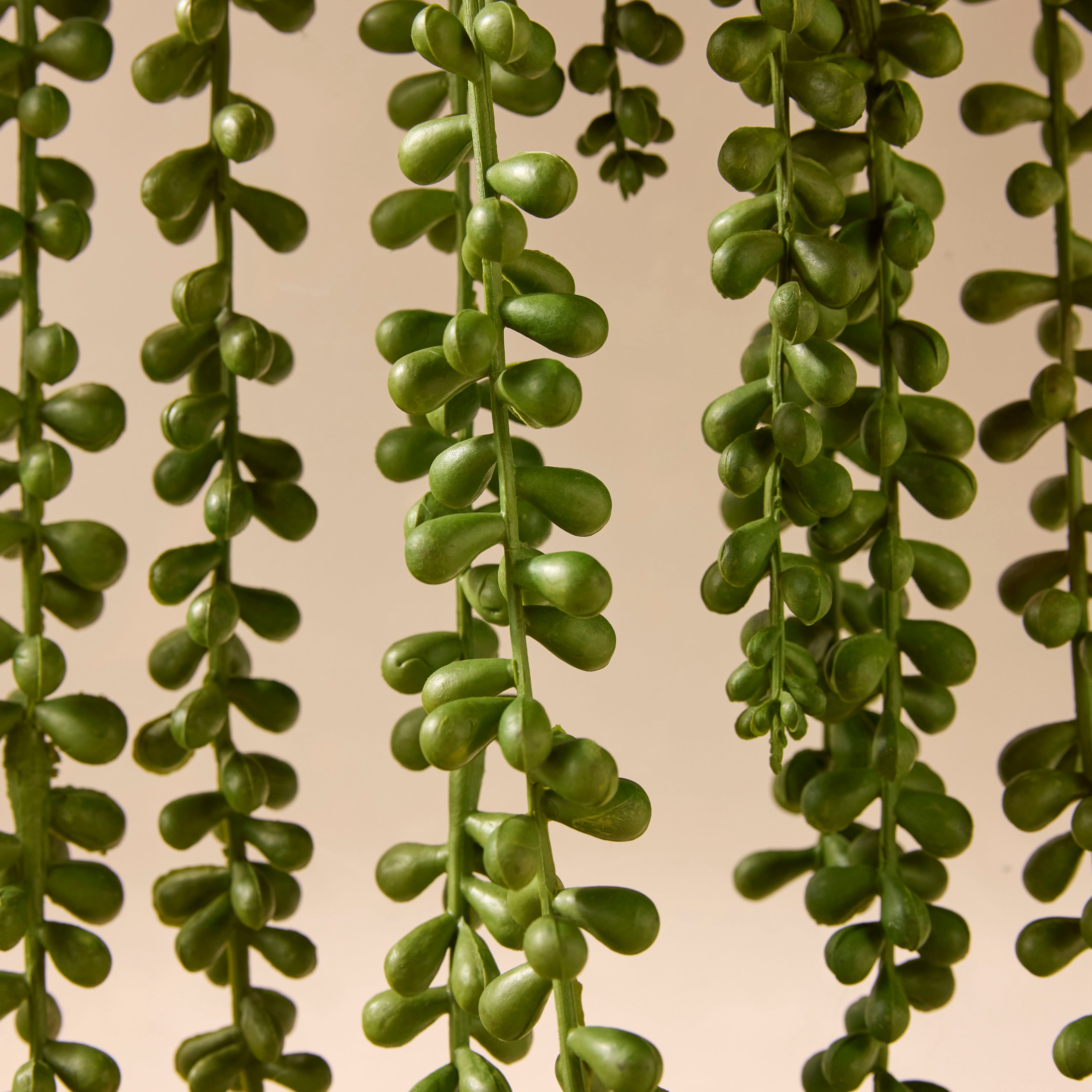 Faux Hanging Pearls - Fluid Vase | Three Birds Set