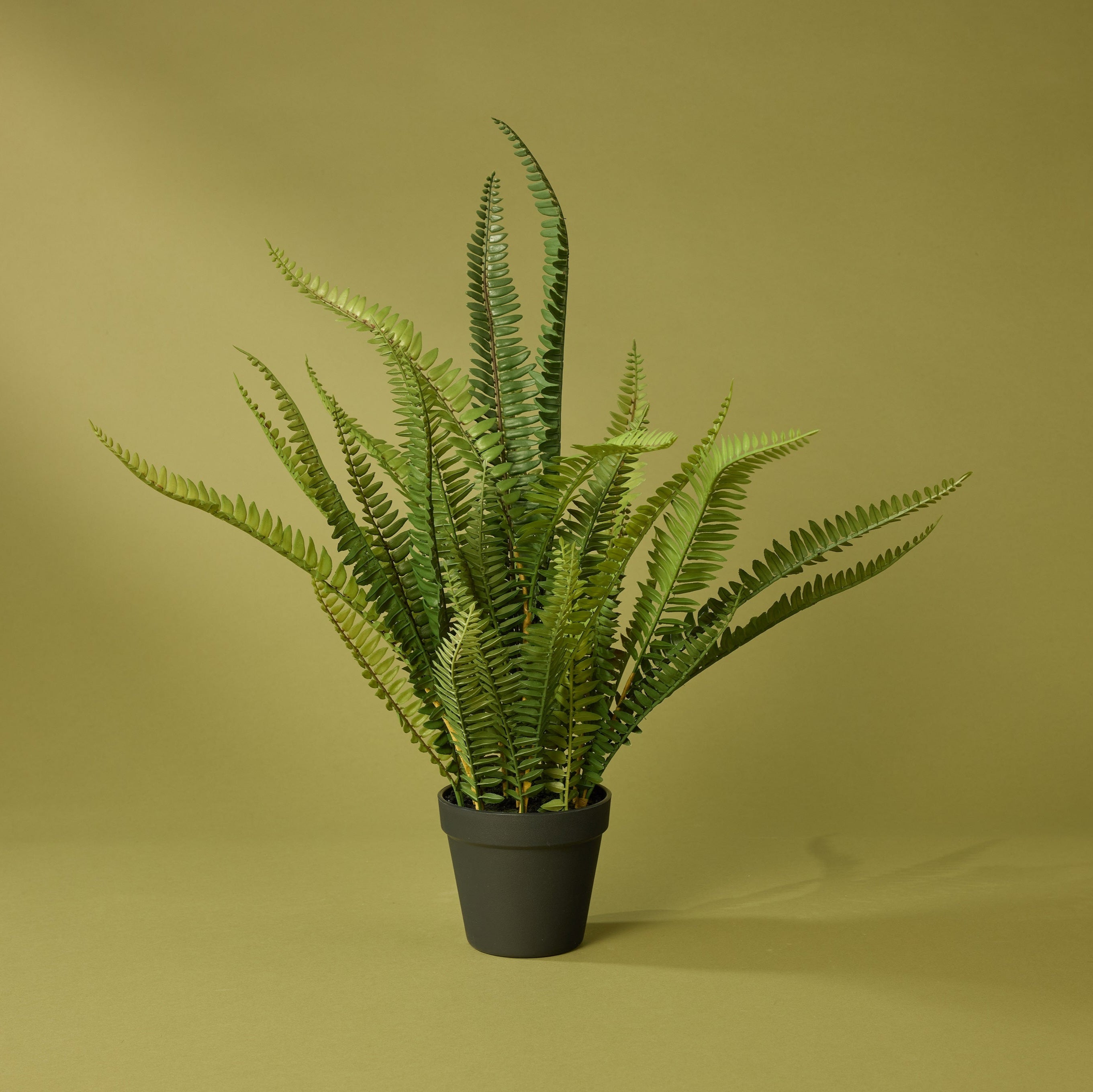 Faux Boston Fern - Garden Pot | 58cm