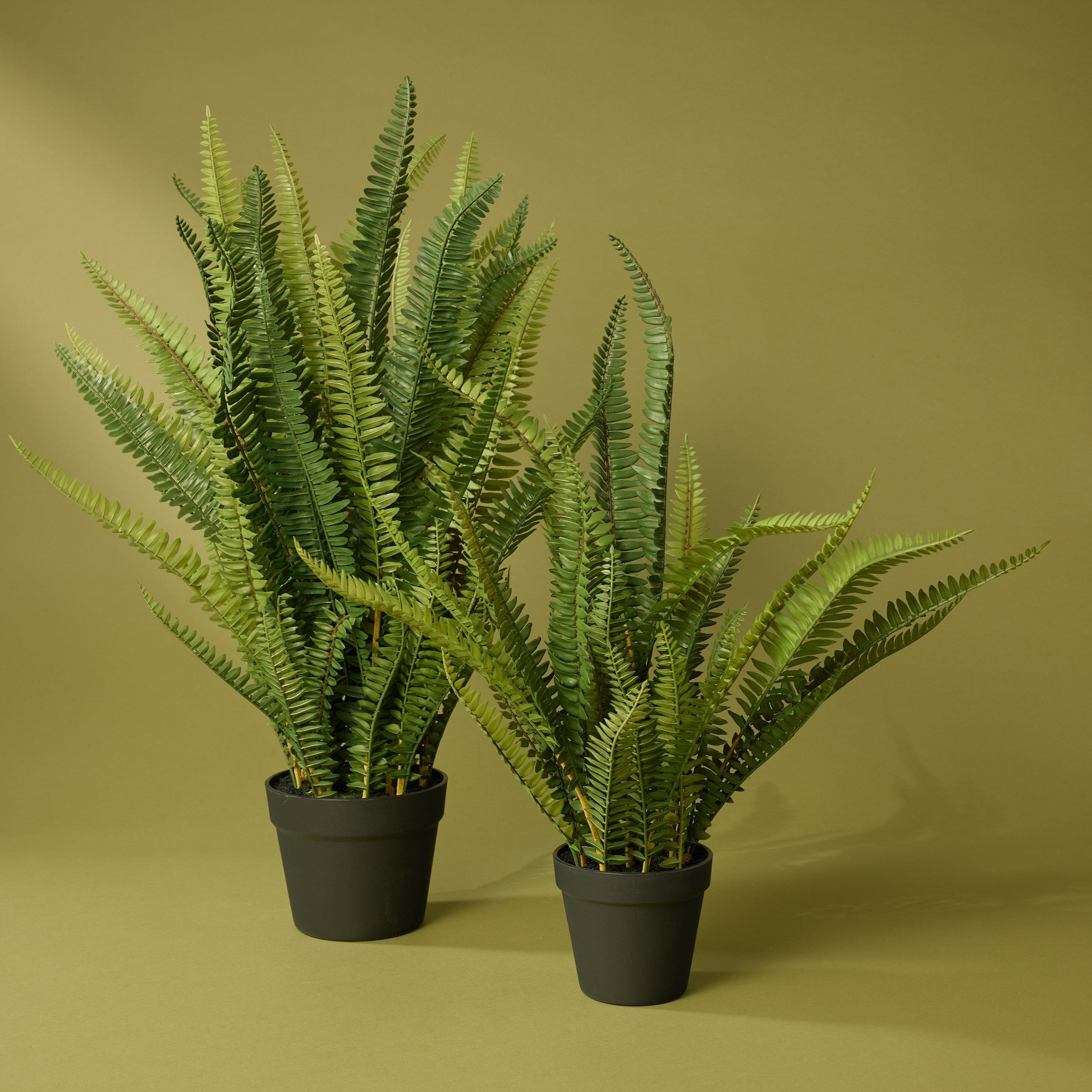 Faux Boston Fern - Garden Pot | 86cm