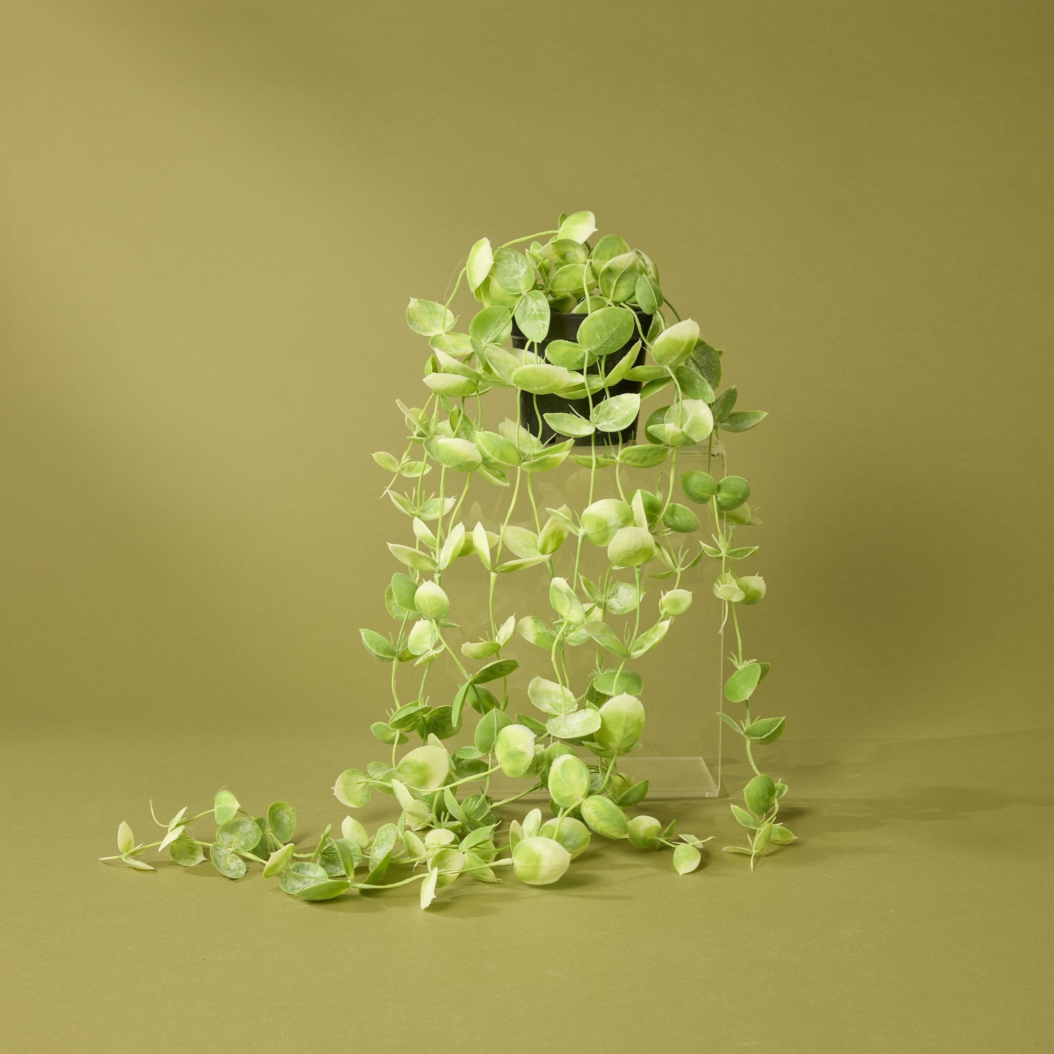 Faux Coin Leaf Hanging Plant in Garden Pot | 90cm