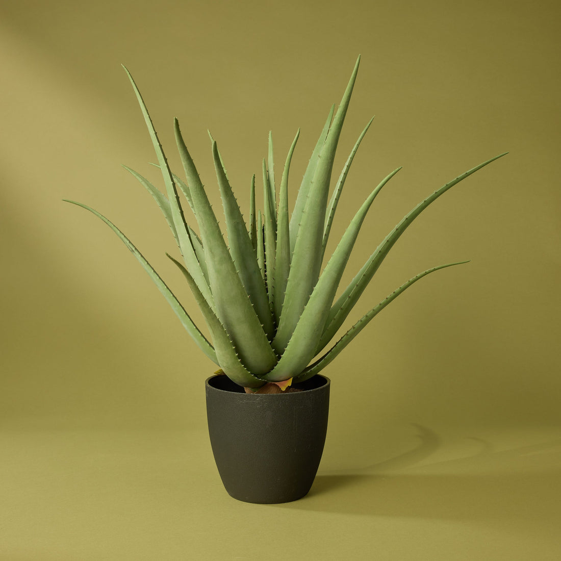 Faux Aloe Plant | 66cm