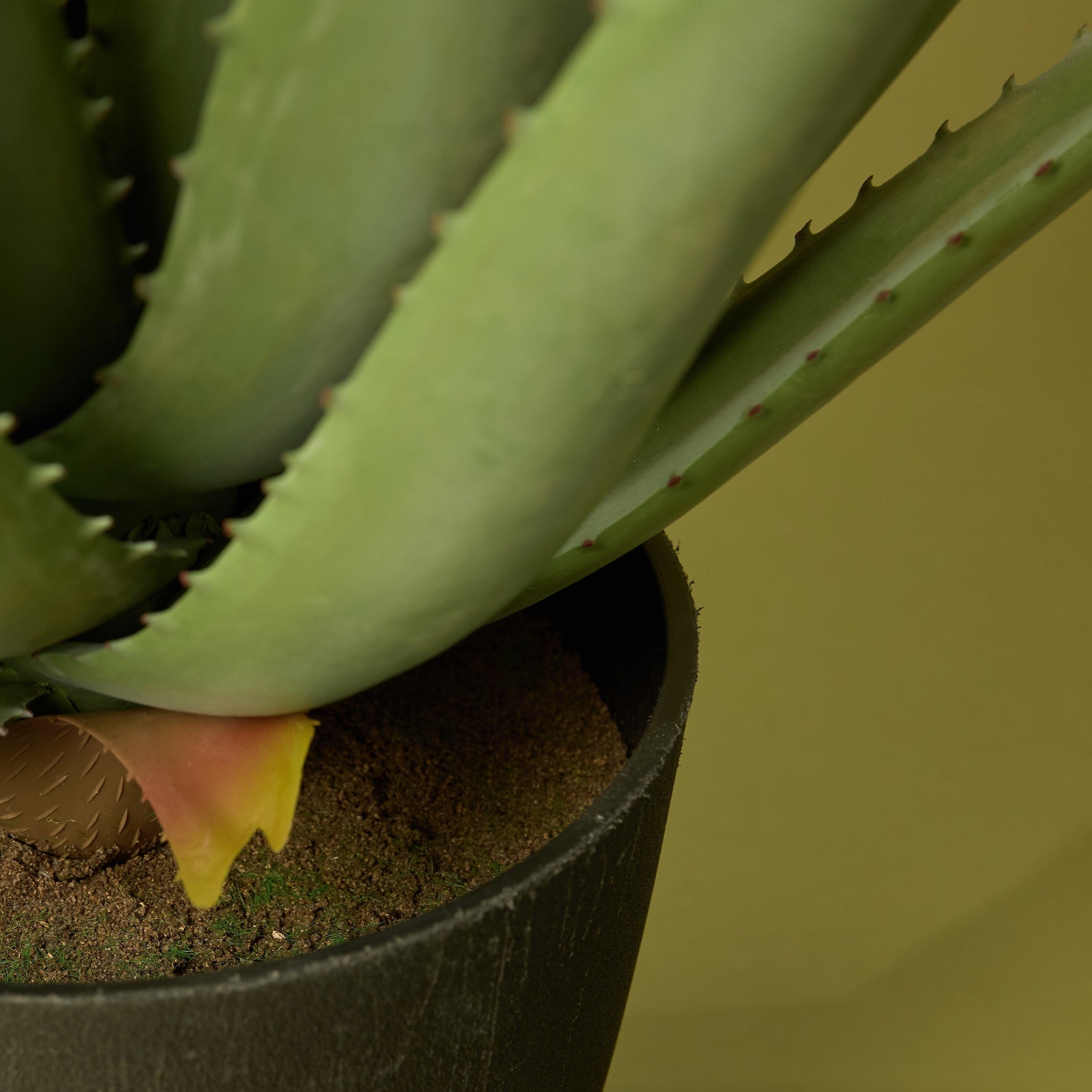 Faux Aloe Plant | 66cm