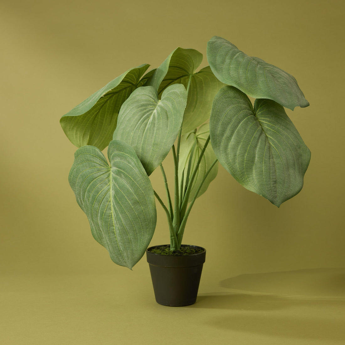 Faux Hosta Plant - Garden Pot | 55cm