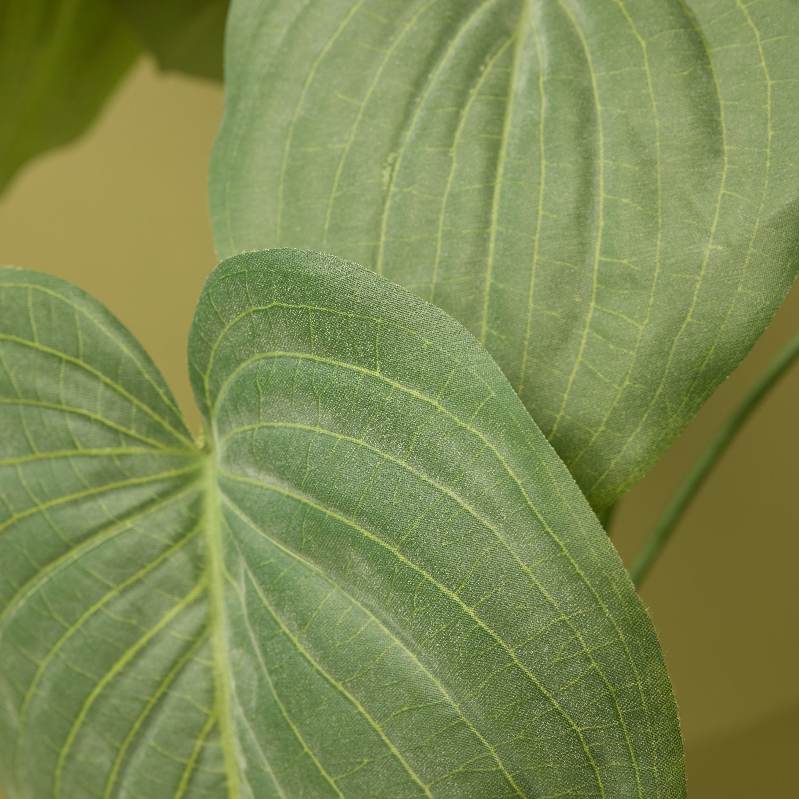 Faux Hosta Plant - Garden Pot | 55cm