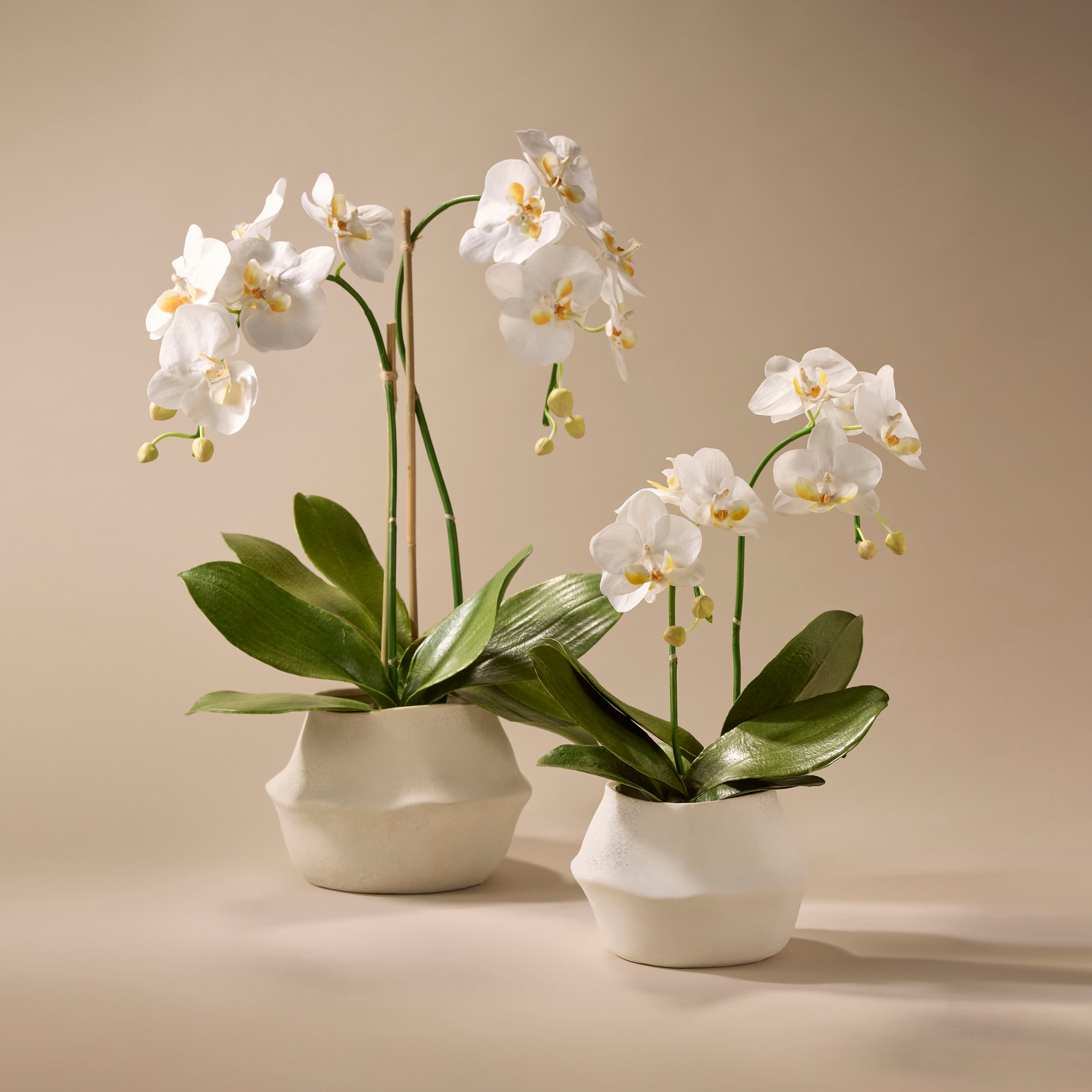 Faux Phalaenopsis Orchid Plant - Maliah Pot | White - 61cm