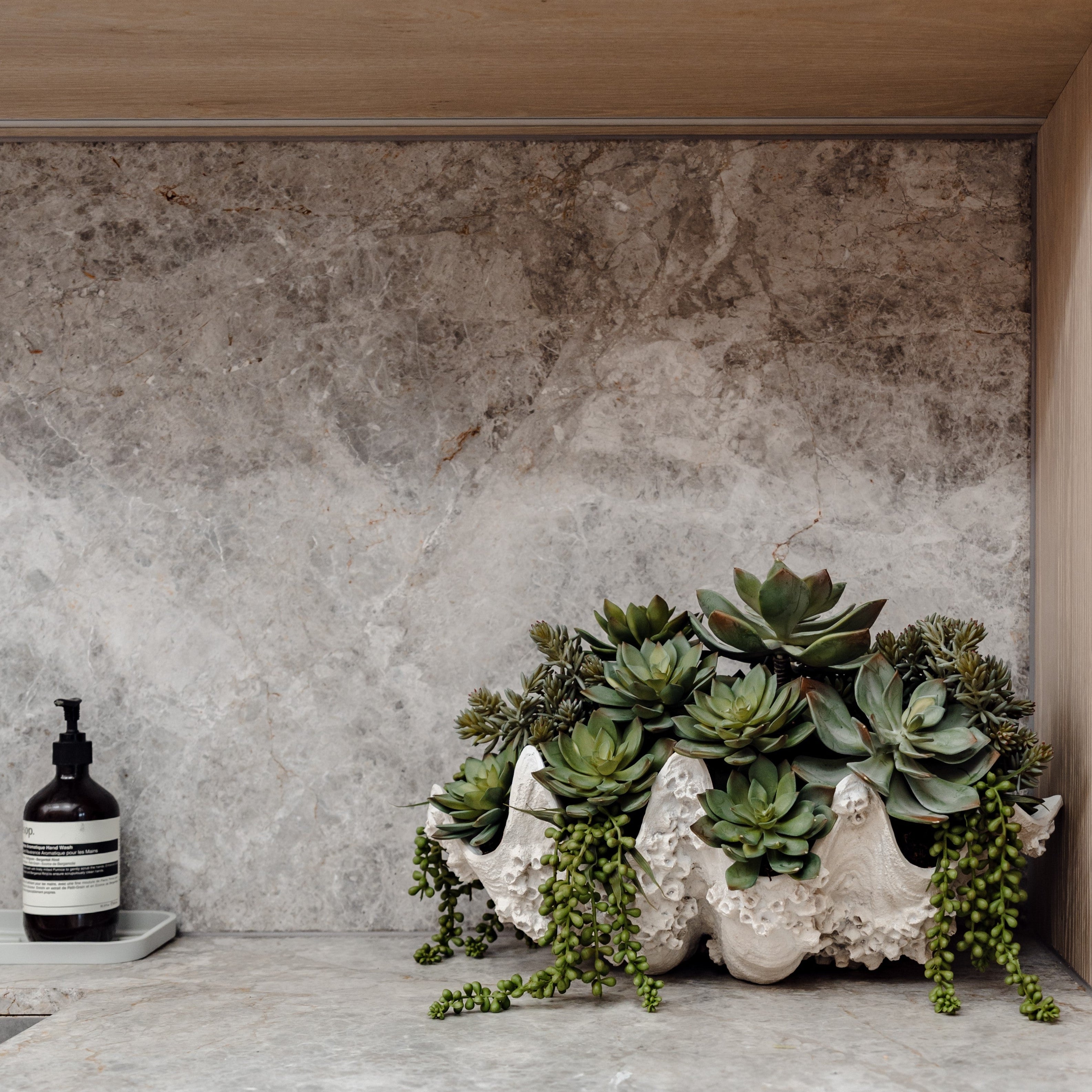 Faux Succulent Mix - Seychelles Clam Vessel | 52cm