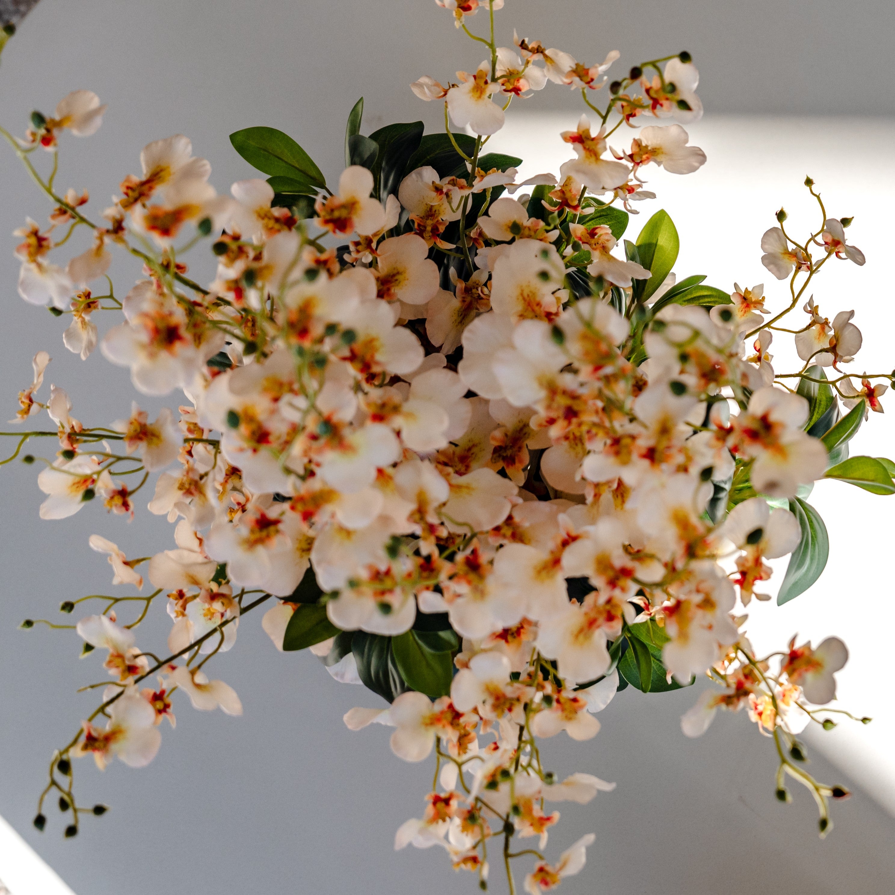 Faux Dancing Orchids - Madelyn Bowl | Cream - 58cm