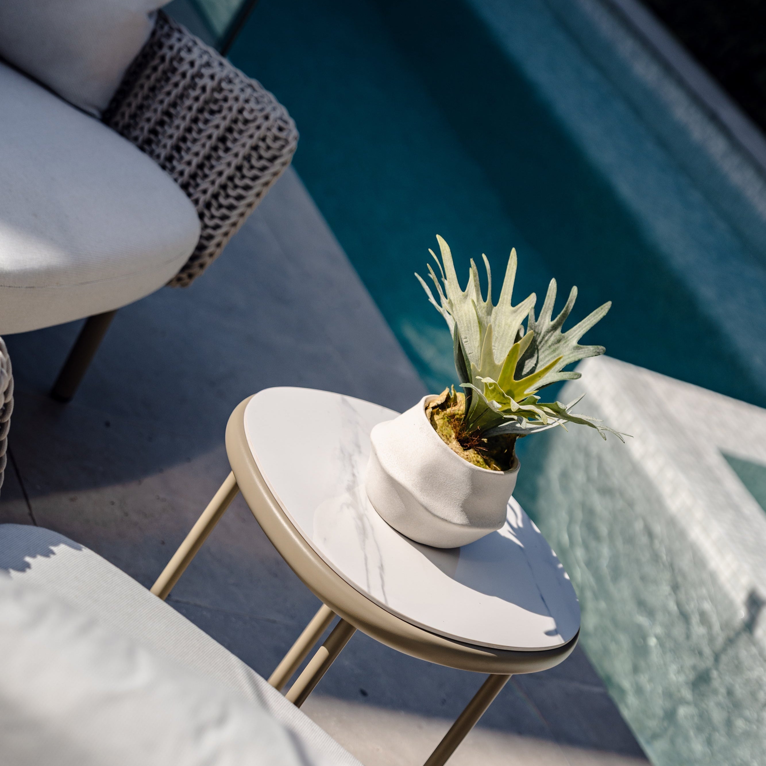 Faux Staghorn Fern - Maliah Wide Pot | Cream - 27cm