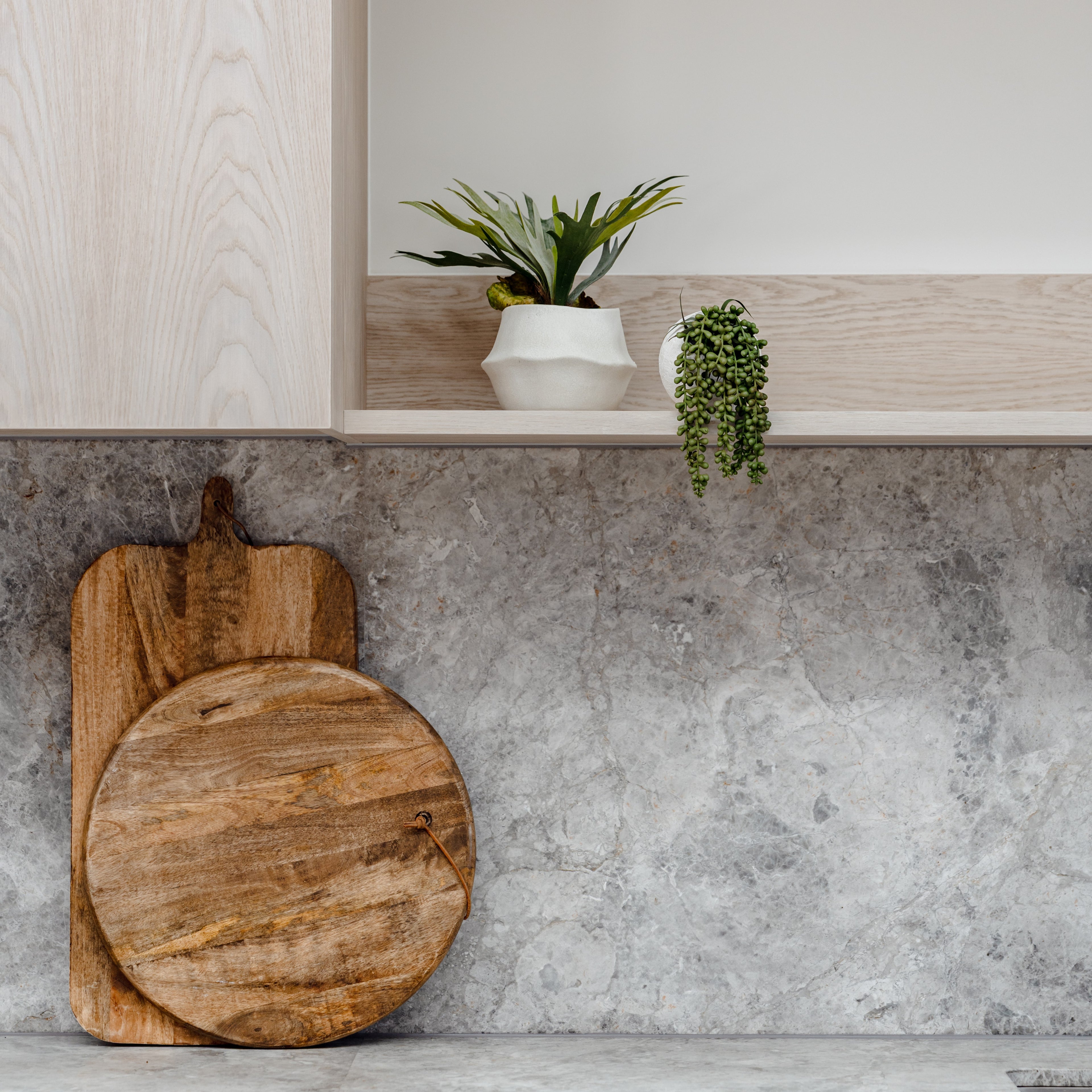 Faux Staghorn Fern - Maliah Wide Pot | Cream - 27cm