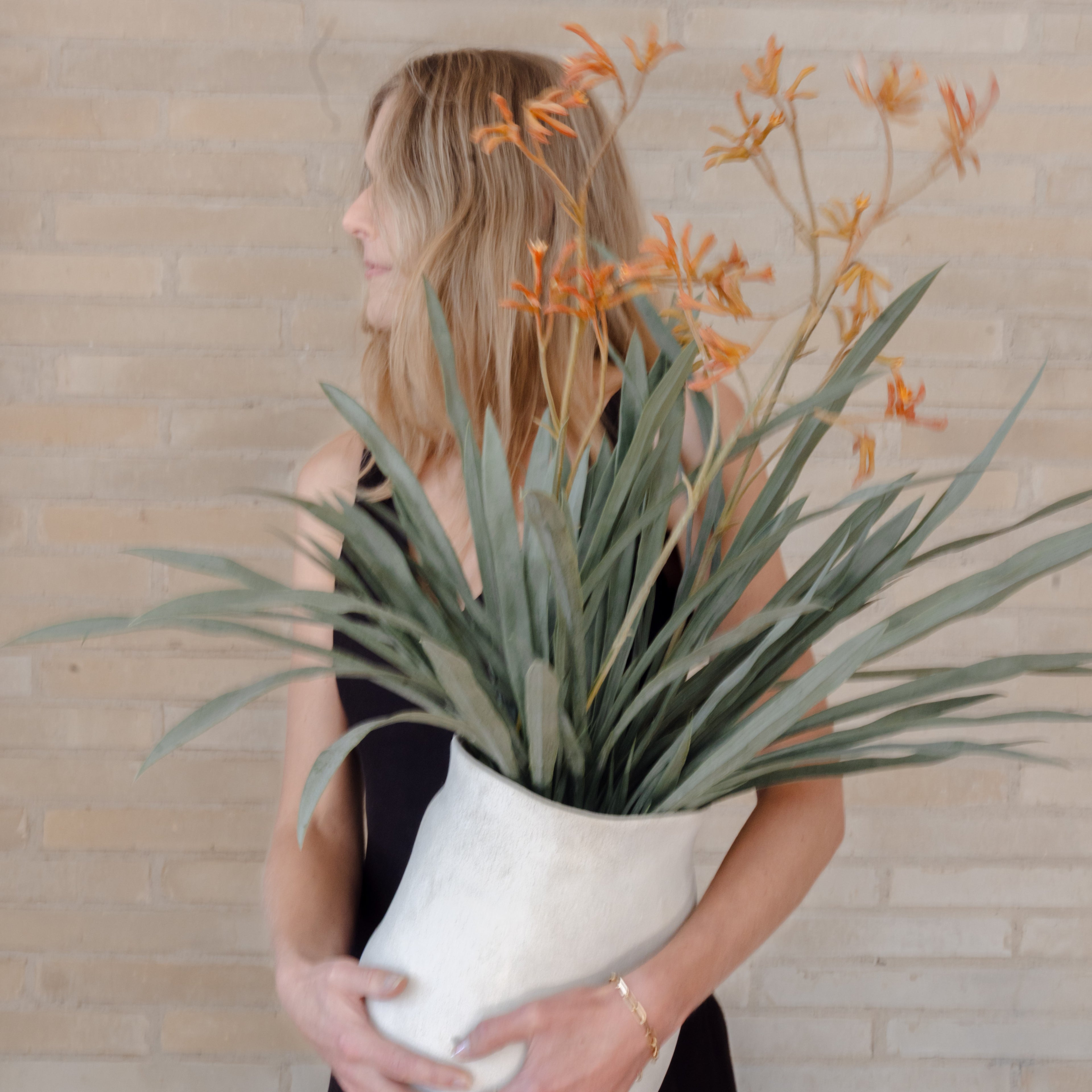 Faux Kangaroo Paw - Maliah Pot | Cream - 78cm