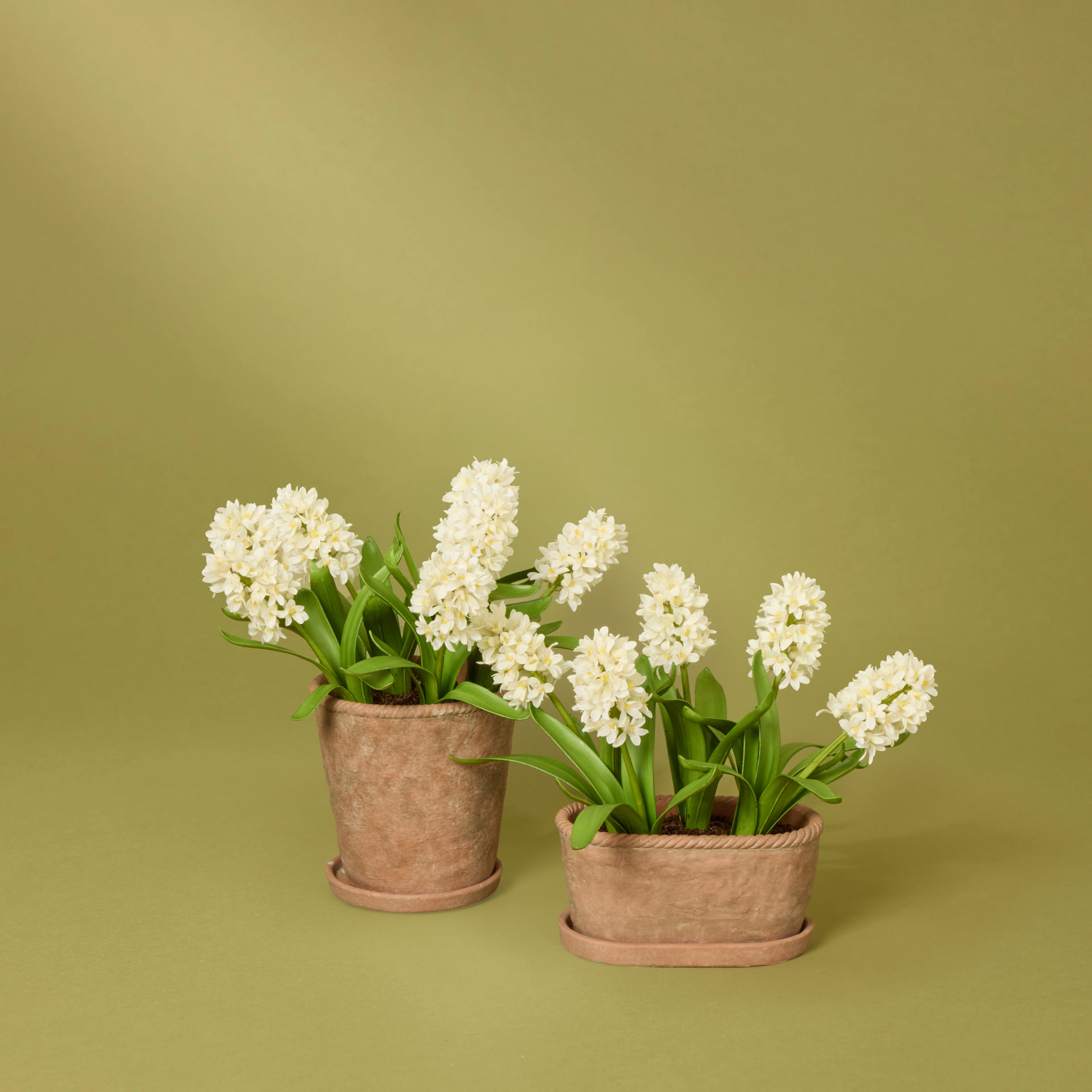 Faux Hyacinth Plant – Chinon Oval Pot | 45cm
