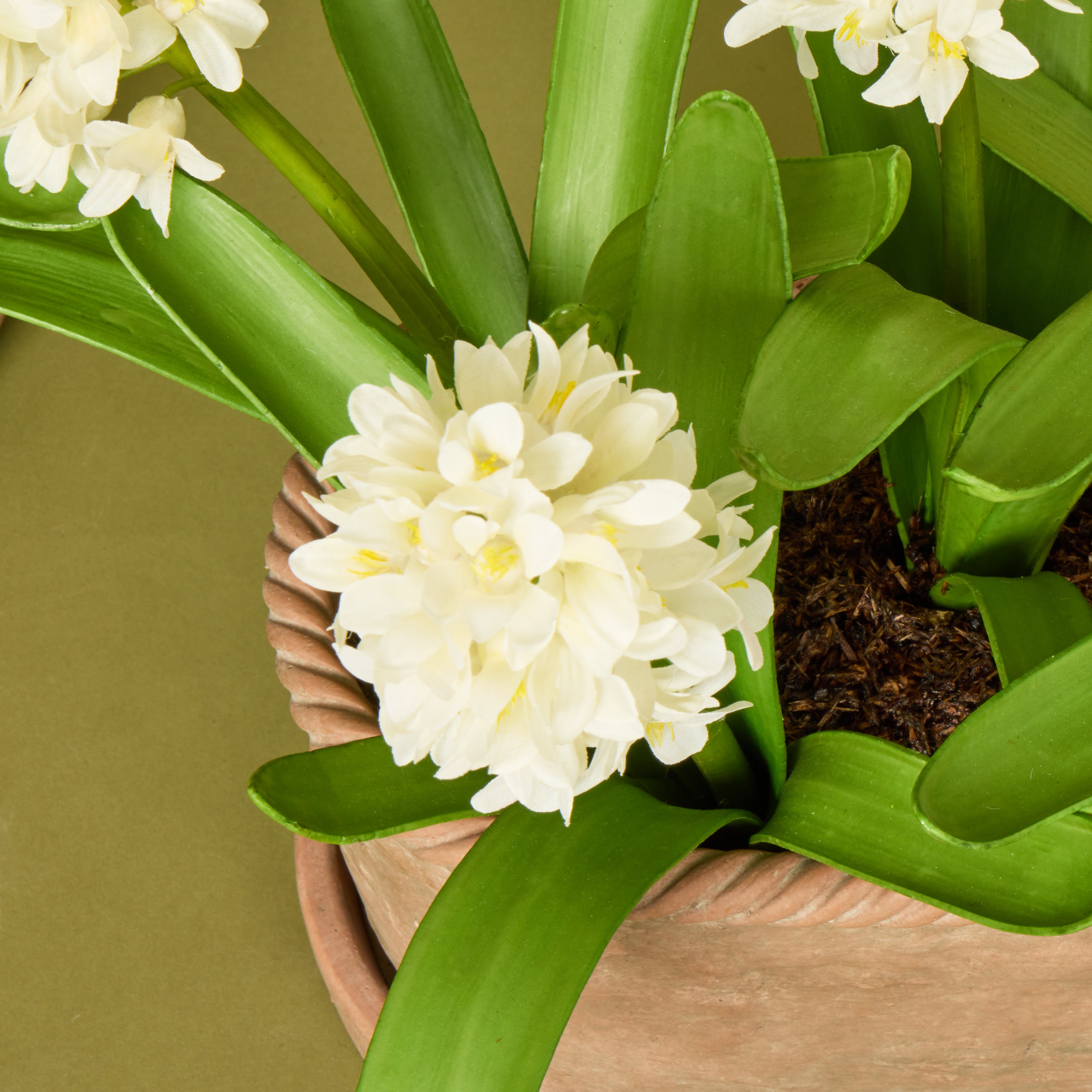 Faux Hyacinth Plant – Chinon Oval Pot | 45cm