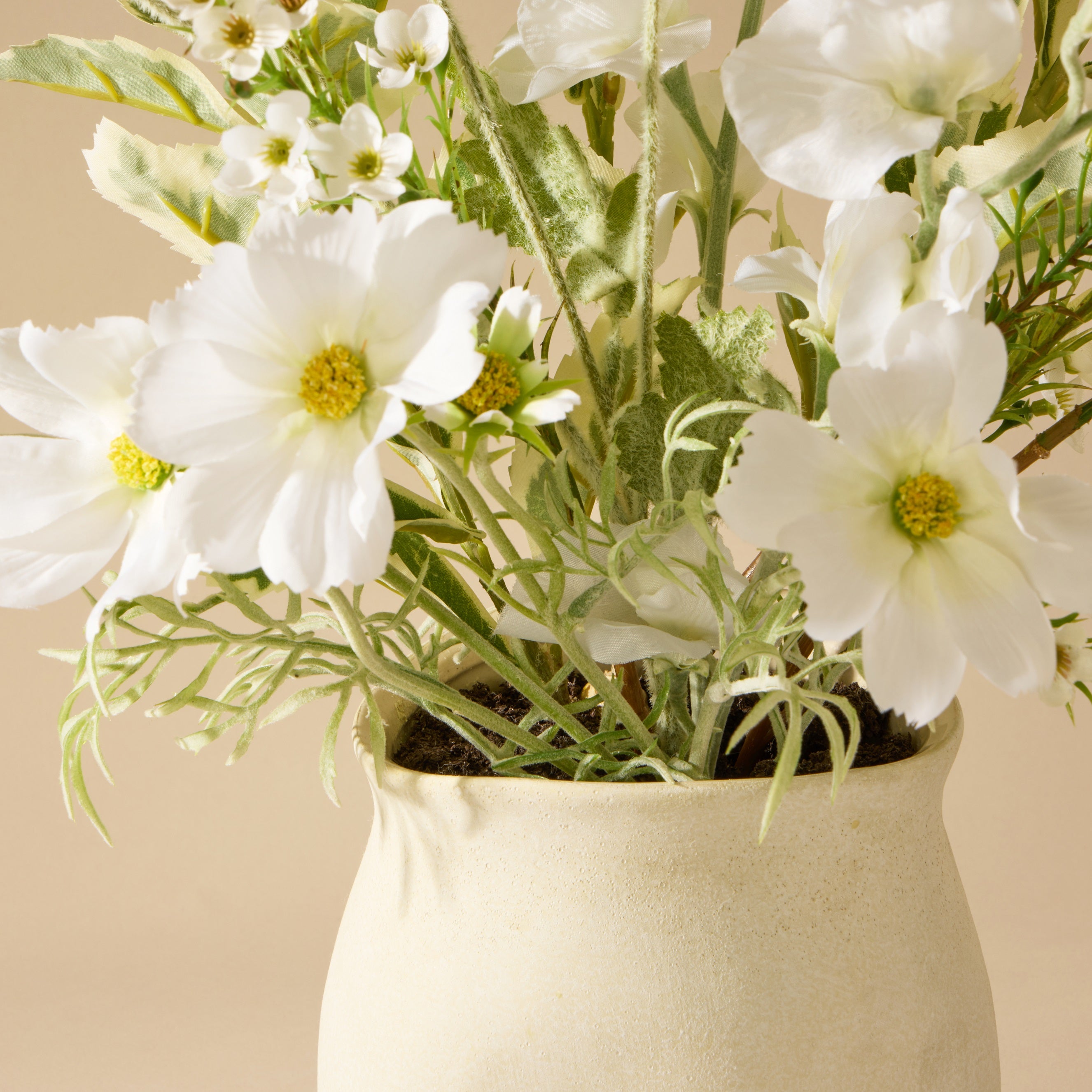White flowers in a beige pot against a beige background