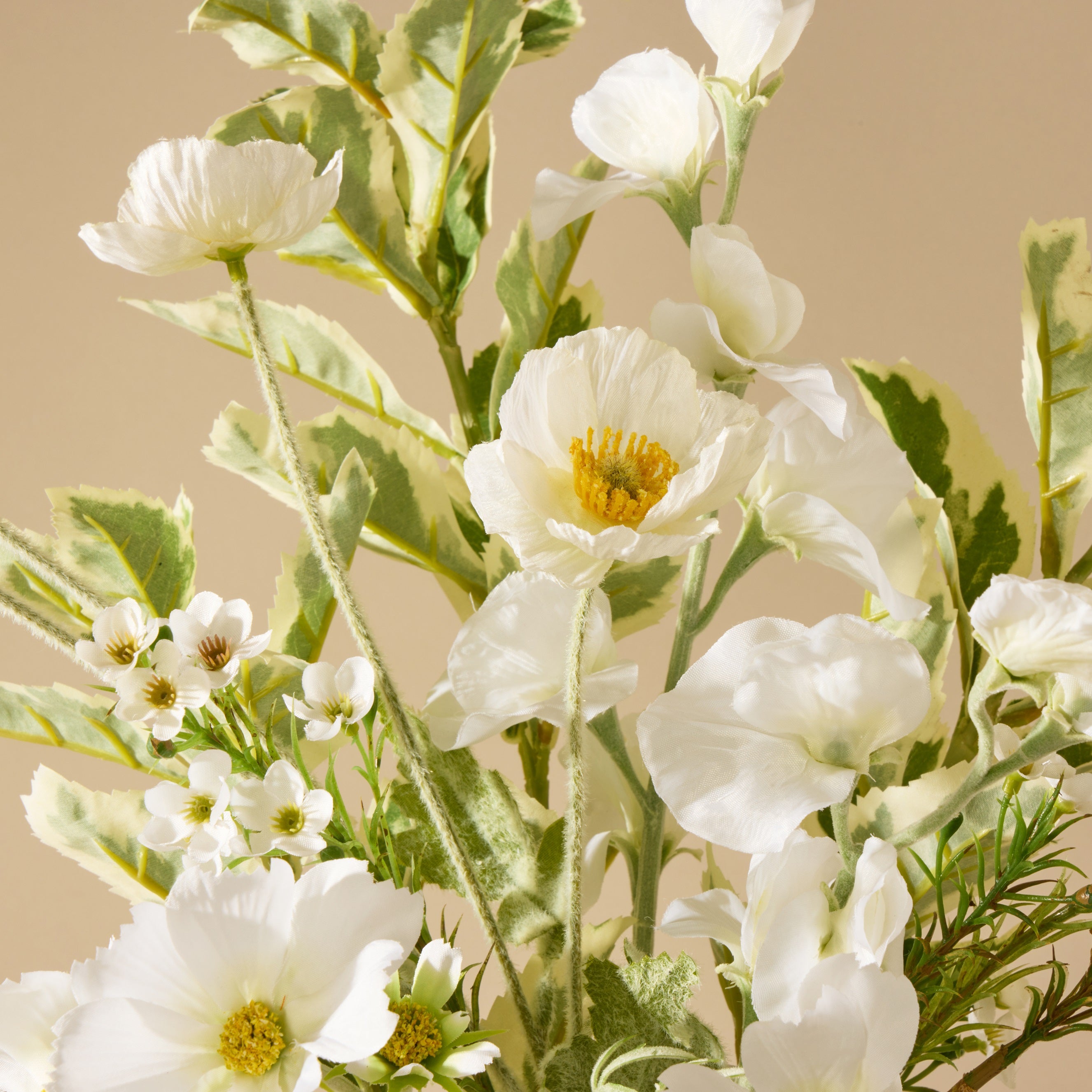 Close-up of white flowers with green leaves on a beige background