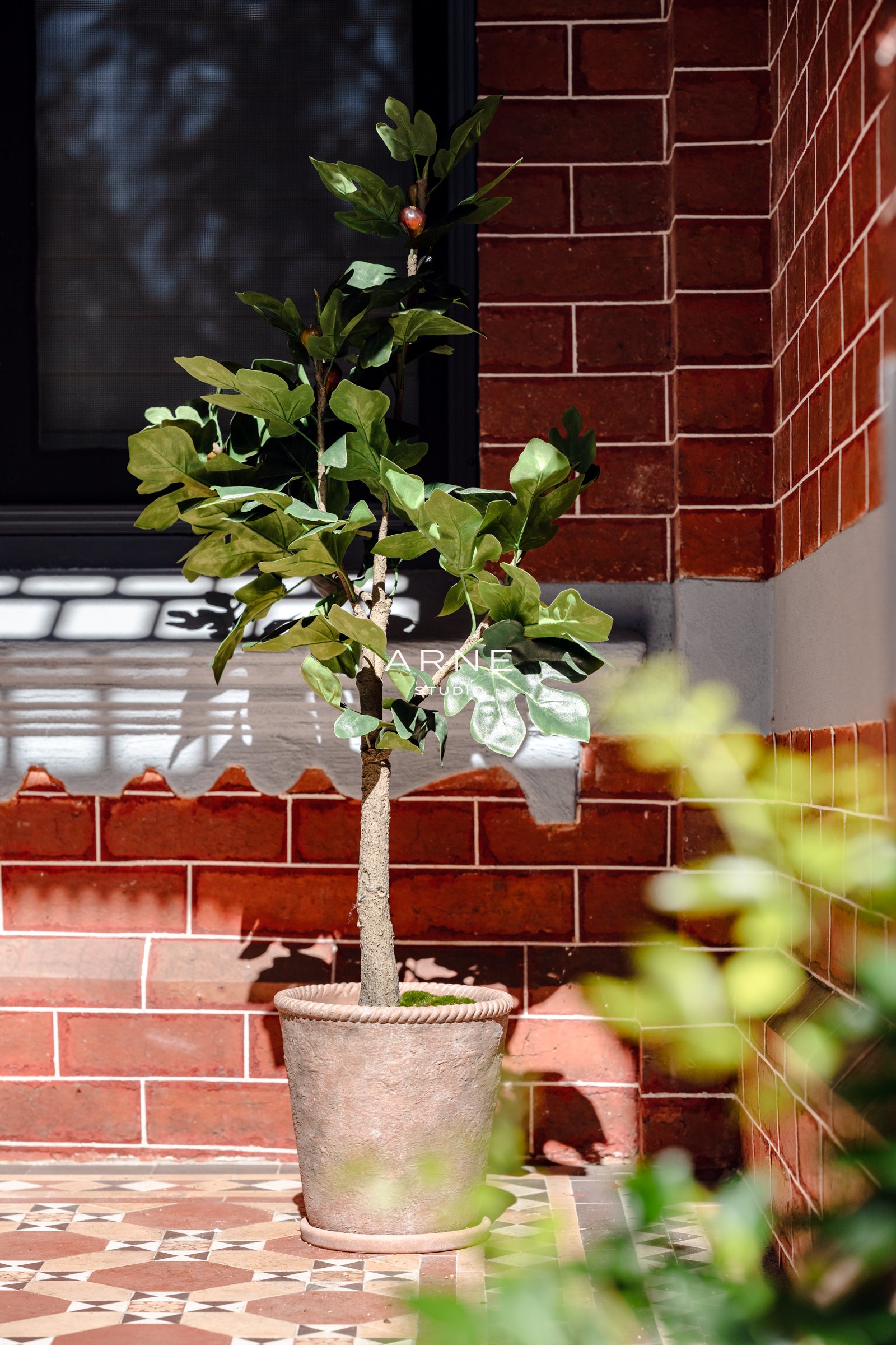 Chinon Pot With Saucer | Brown - 26cm