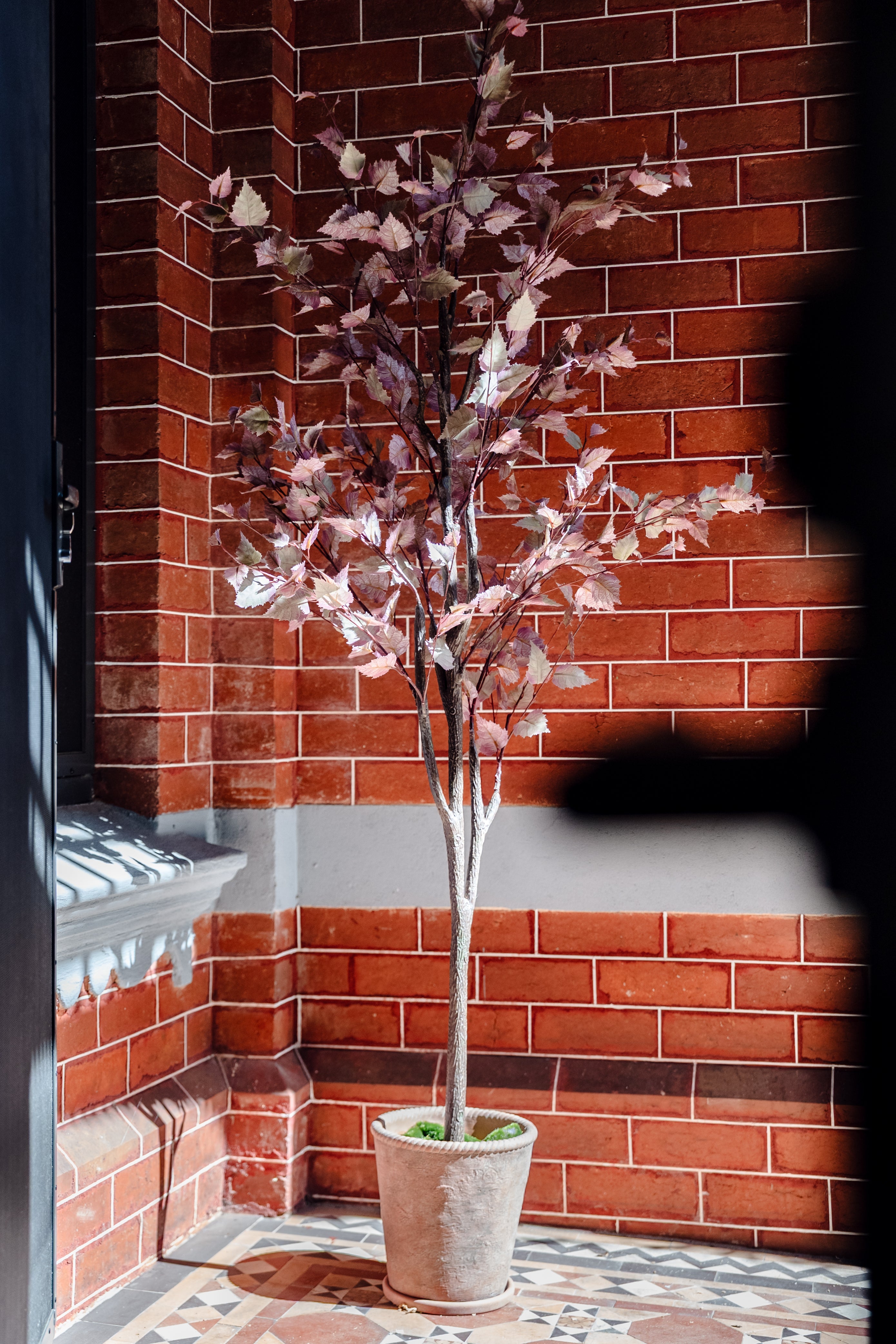 Faux Birch Tree | 200cm