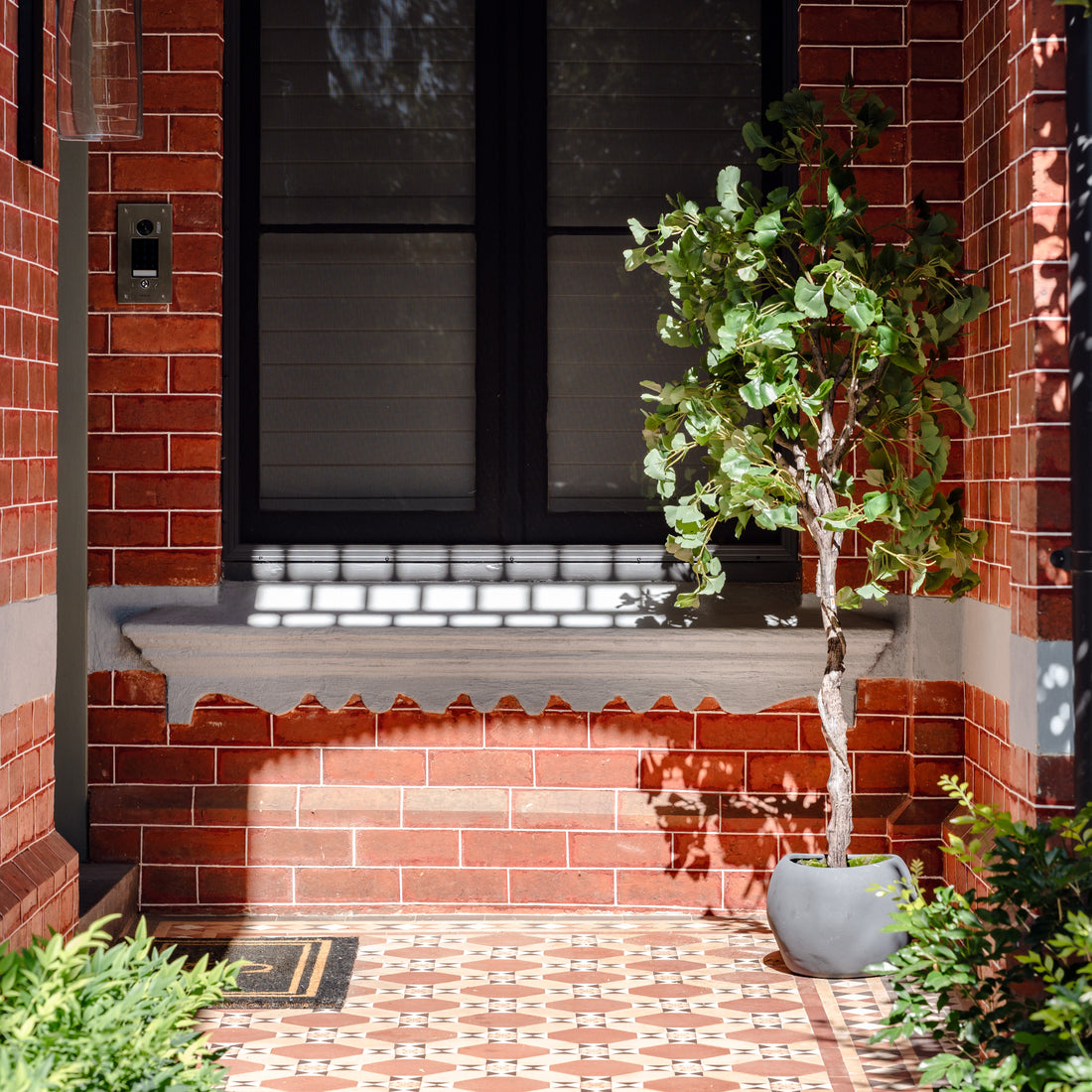 Faux Ginkgo Tree - Garden Pot | 173cm