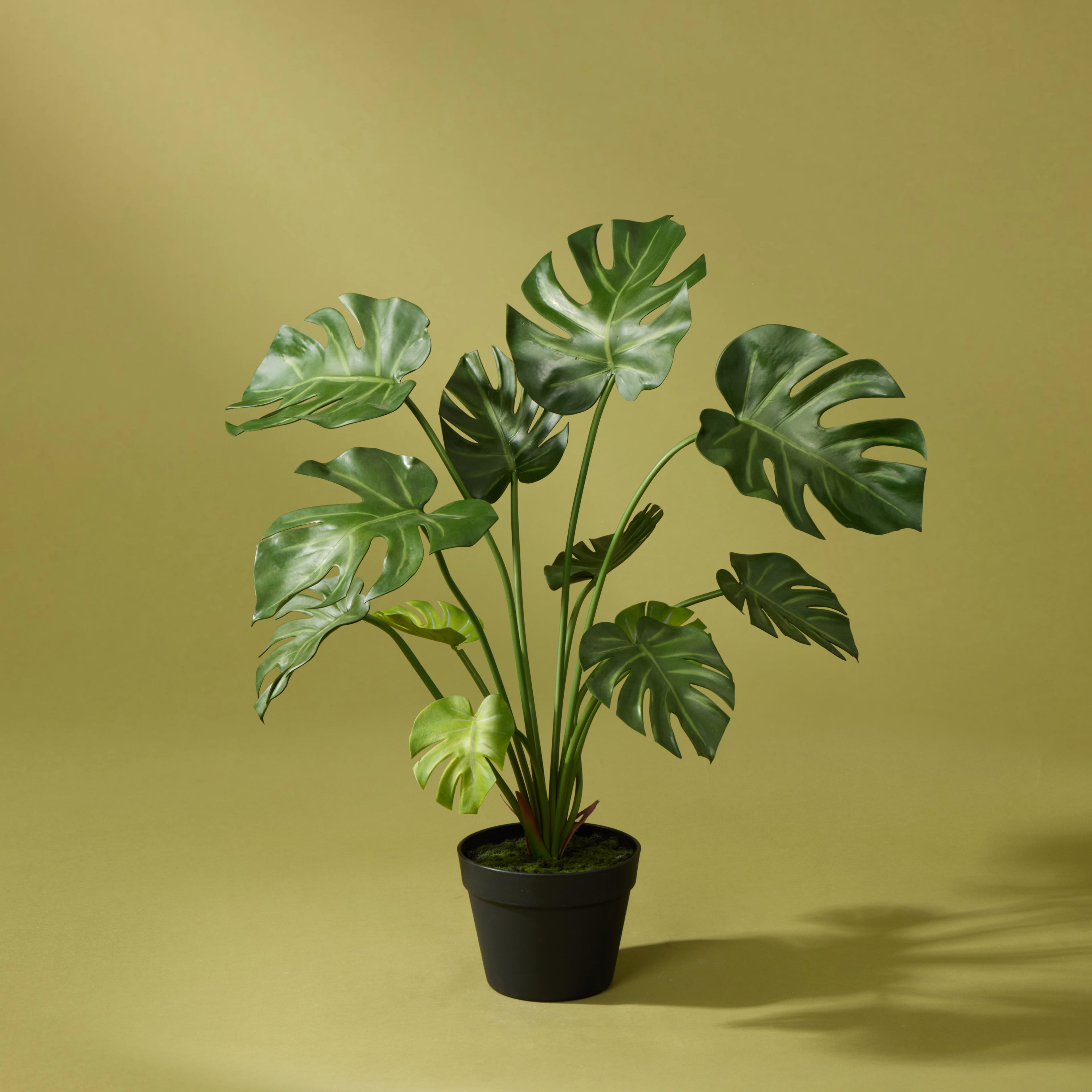 Faux Monstera Plant - Garden Pot | 65cm