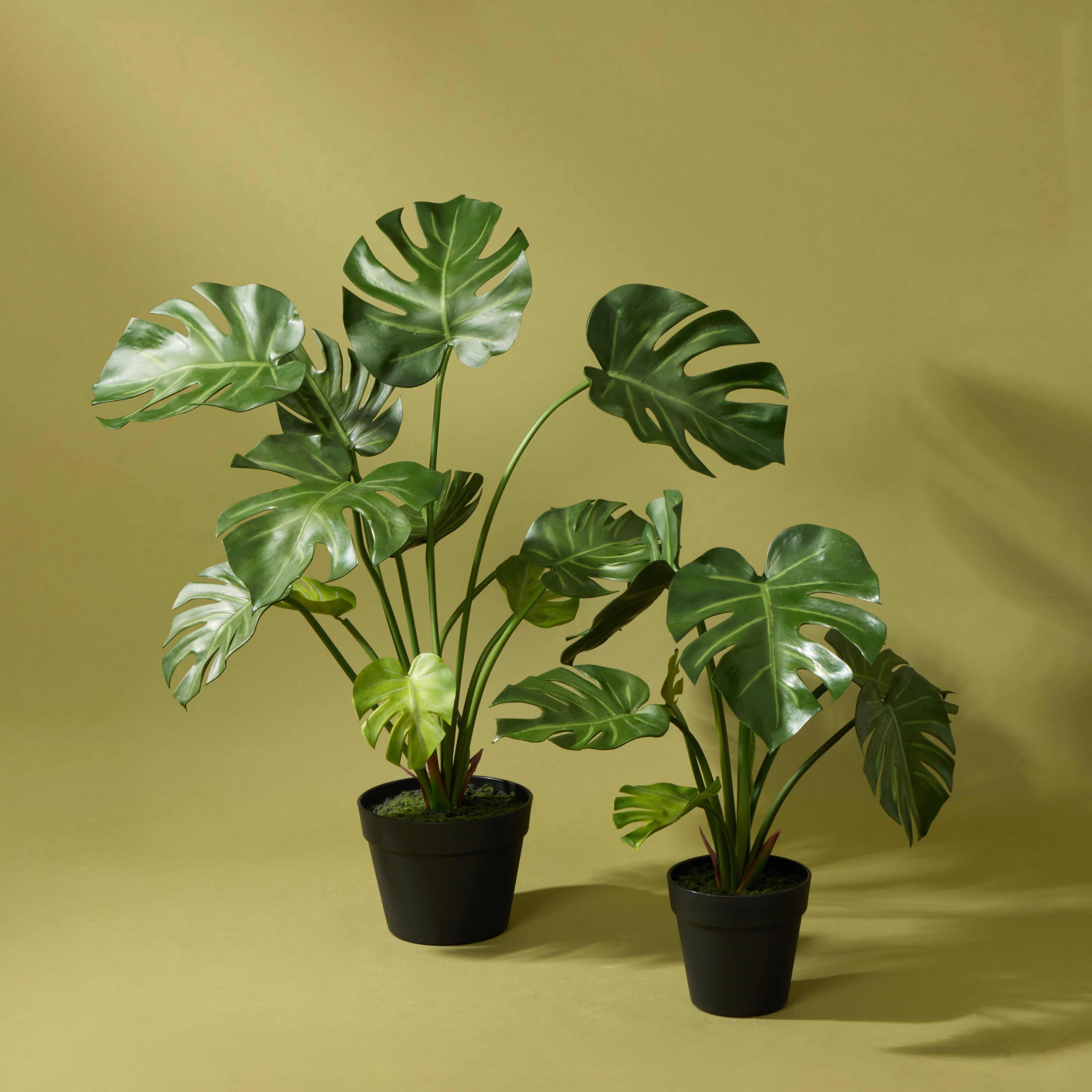 Faux Monstera Plant - Garden Pot | 65cm