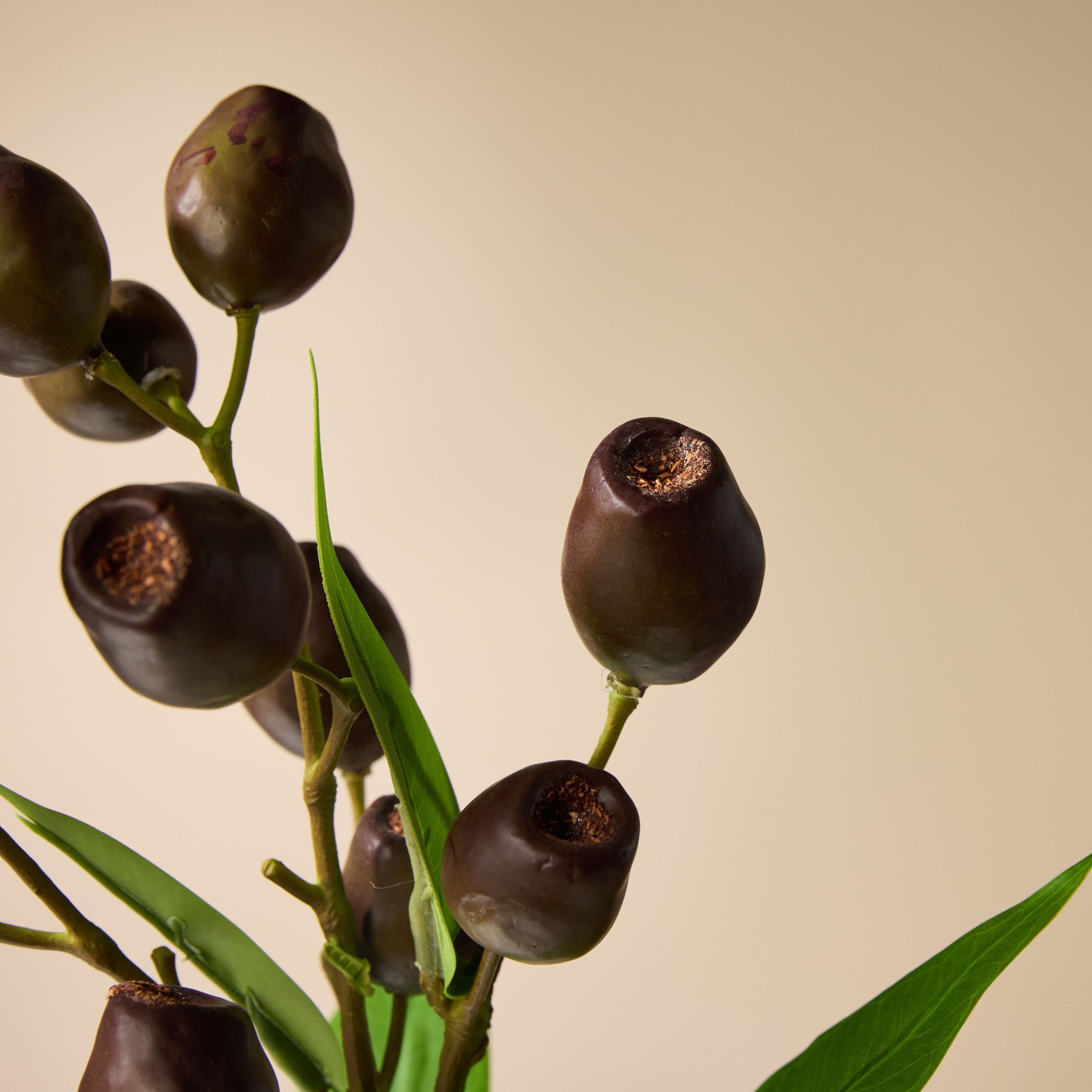 Faux Olea Gum Nut Spray | 64cm