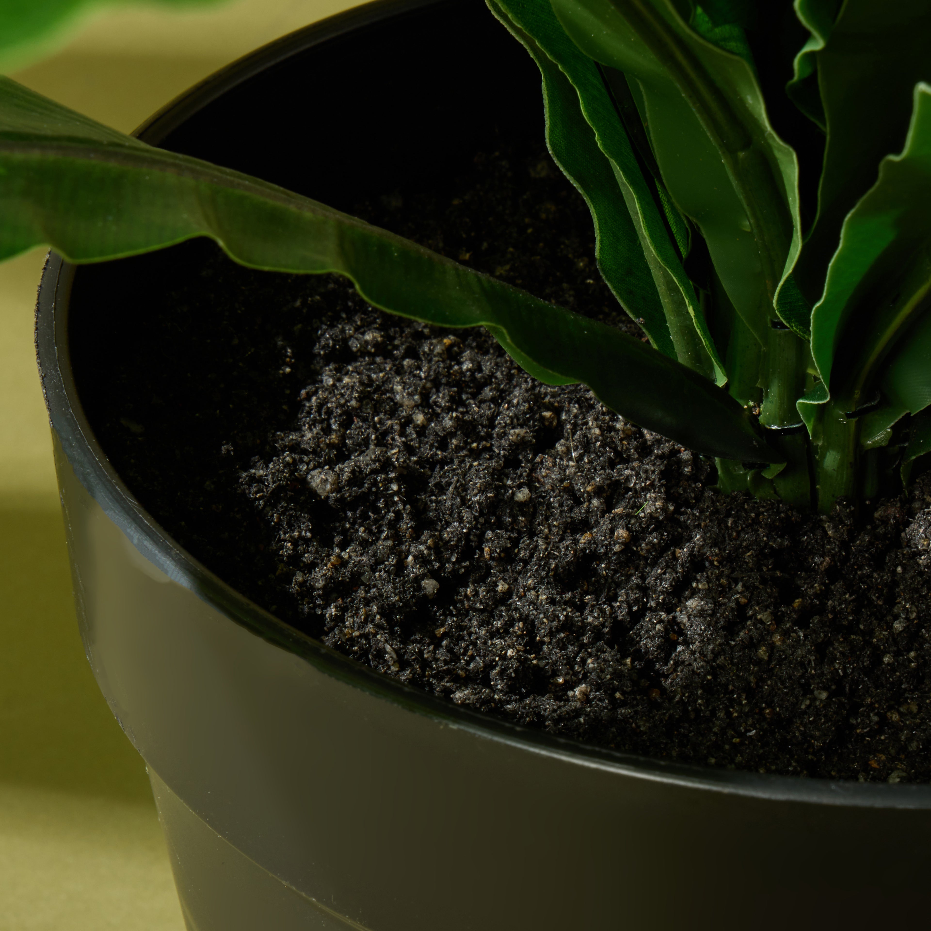 Faux Bird Nest Fern UV Treated - Garden Pot | 55cm