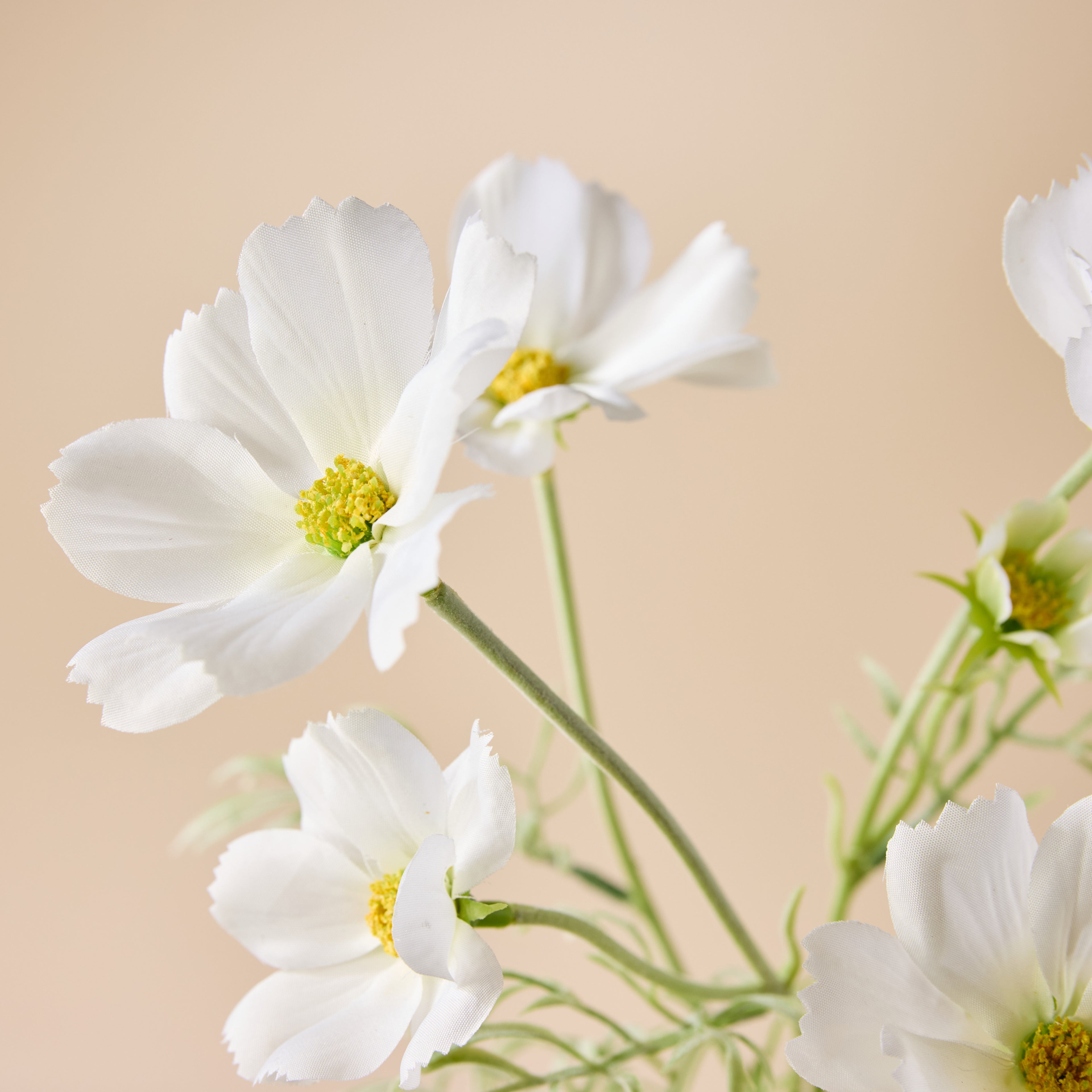 Faux Cosmos Flower Spray | White - 62cm