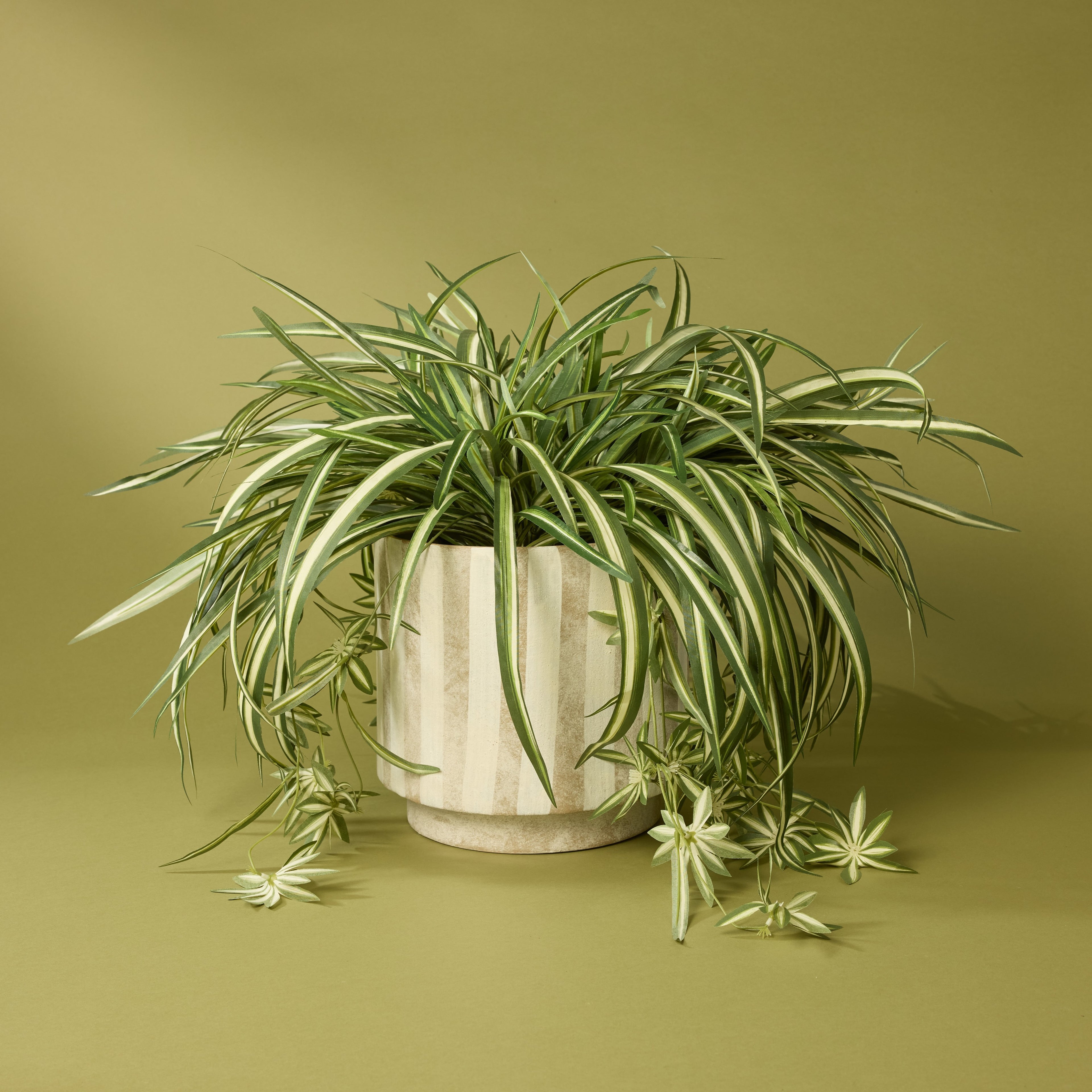 Faux Spider Plant - Garden Pot | 70cm