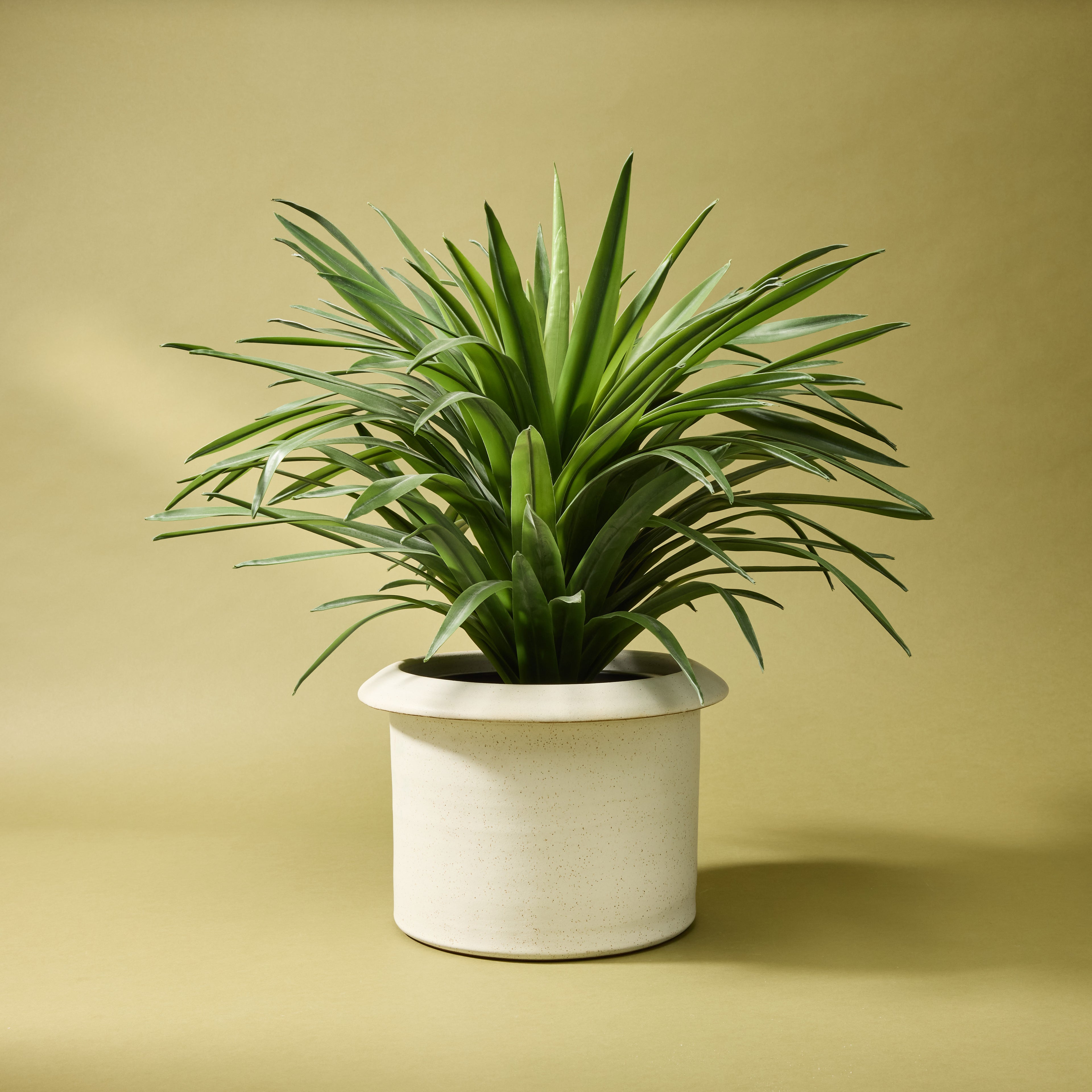 Vannes Pot | Cream - 21cm