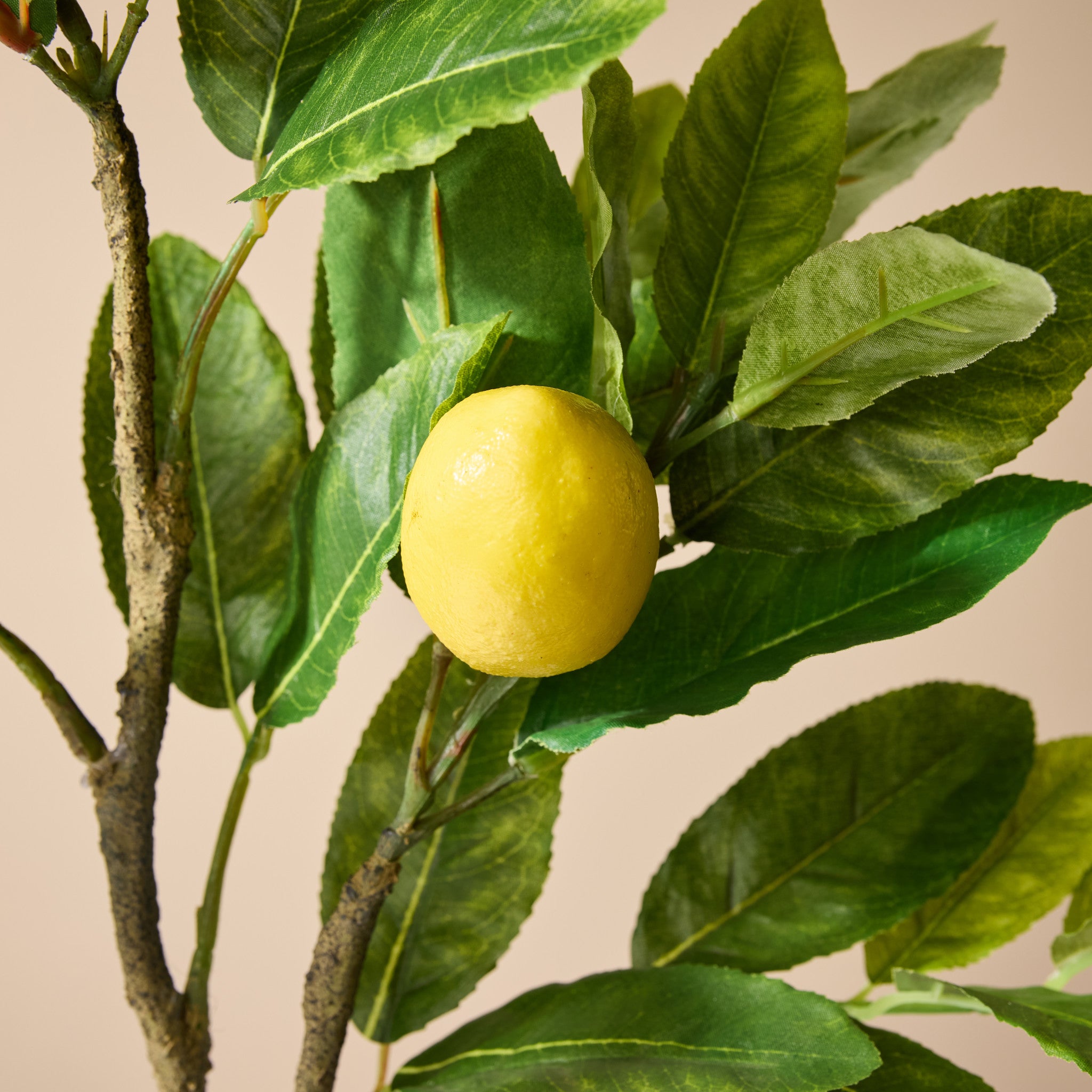 Faux Lemon Spray | 91cm