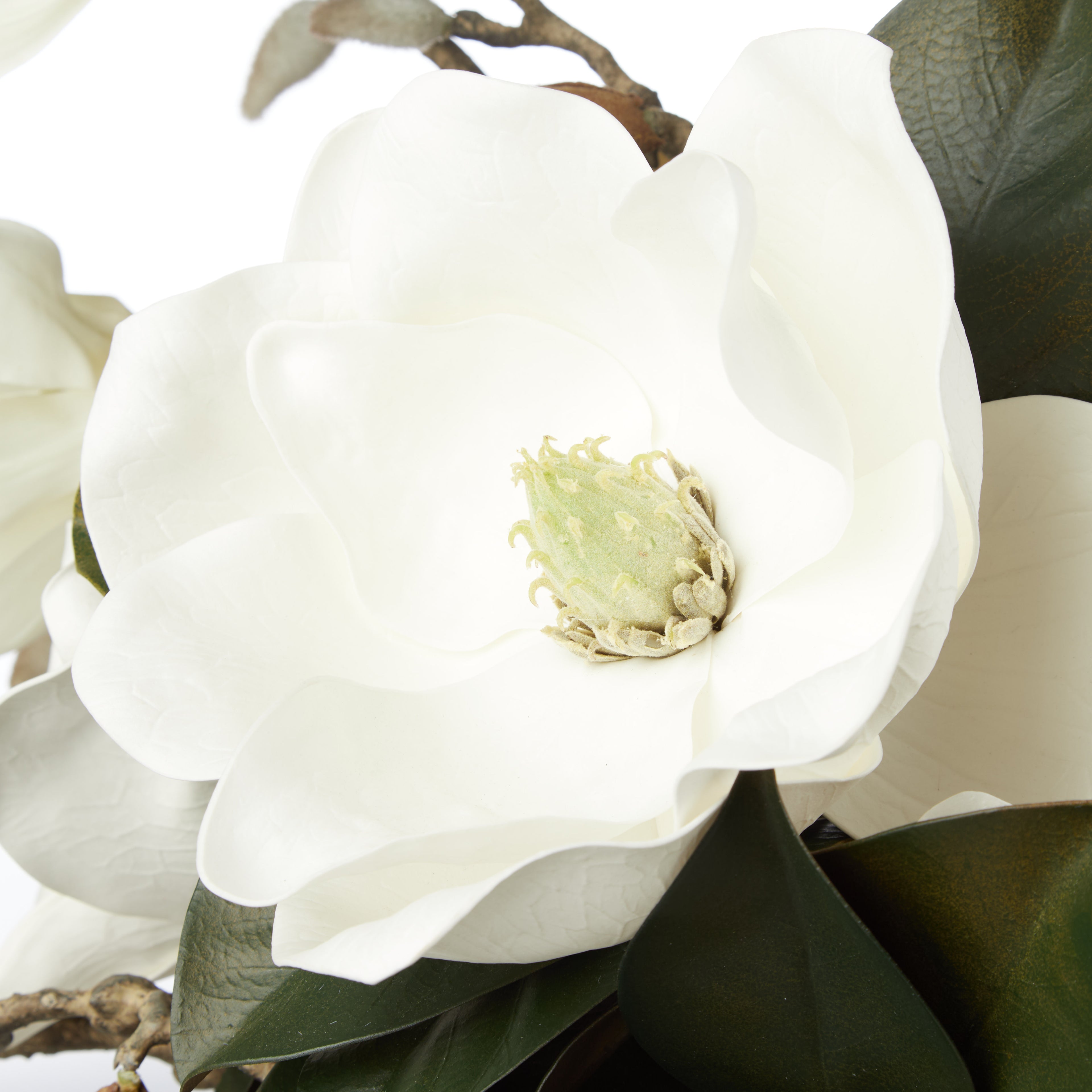 Faux Magnolia Grandiflora Arrangement - Claire Vase