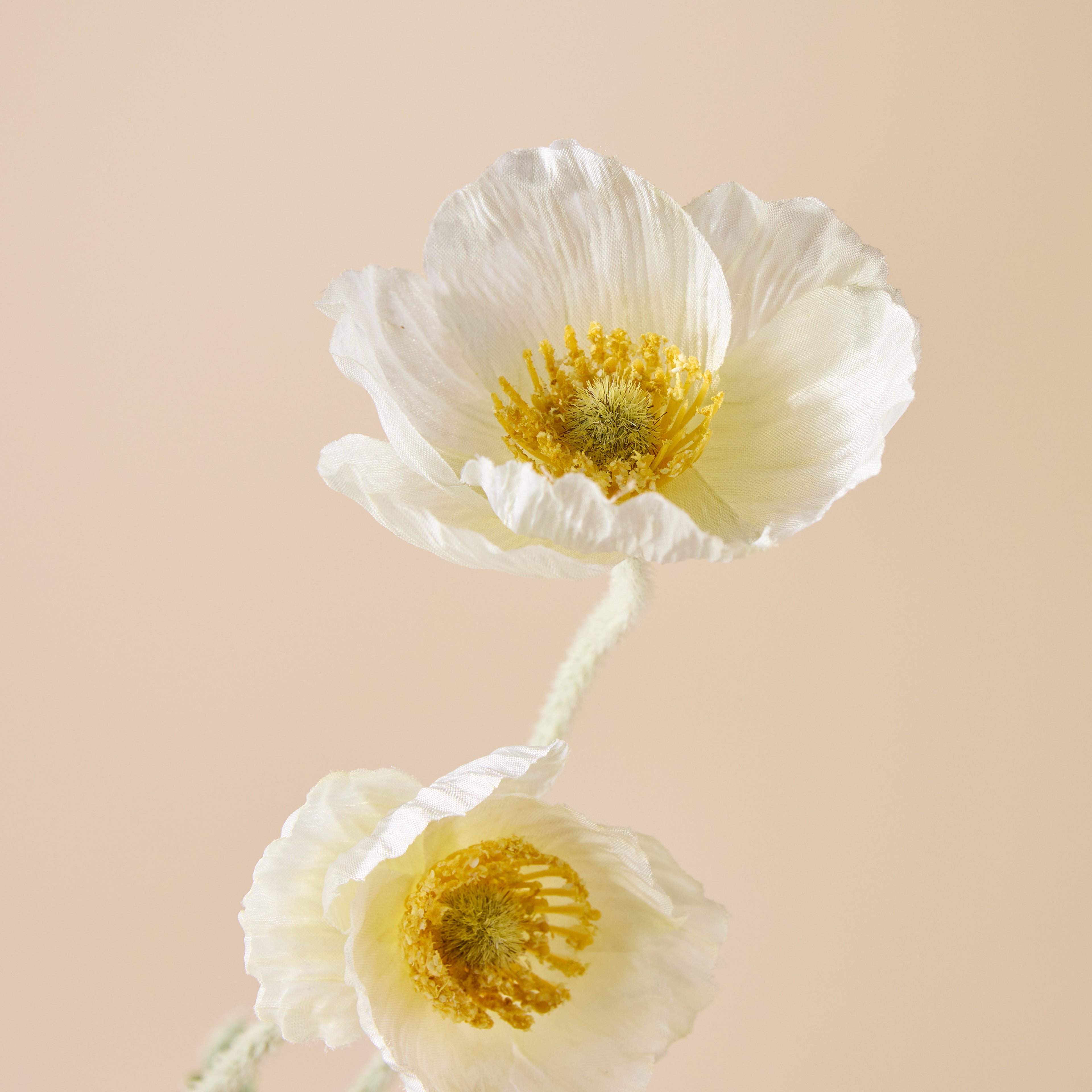 Faux Poppy Spray | Cream - 60cm