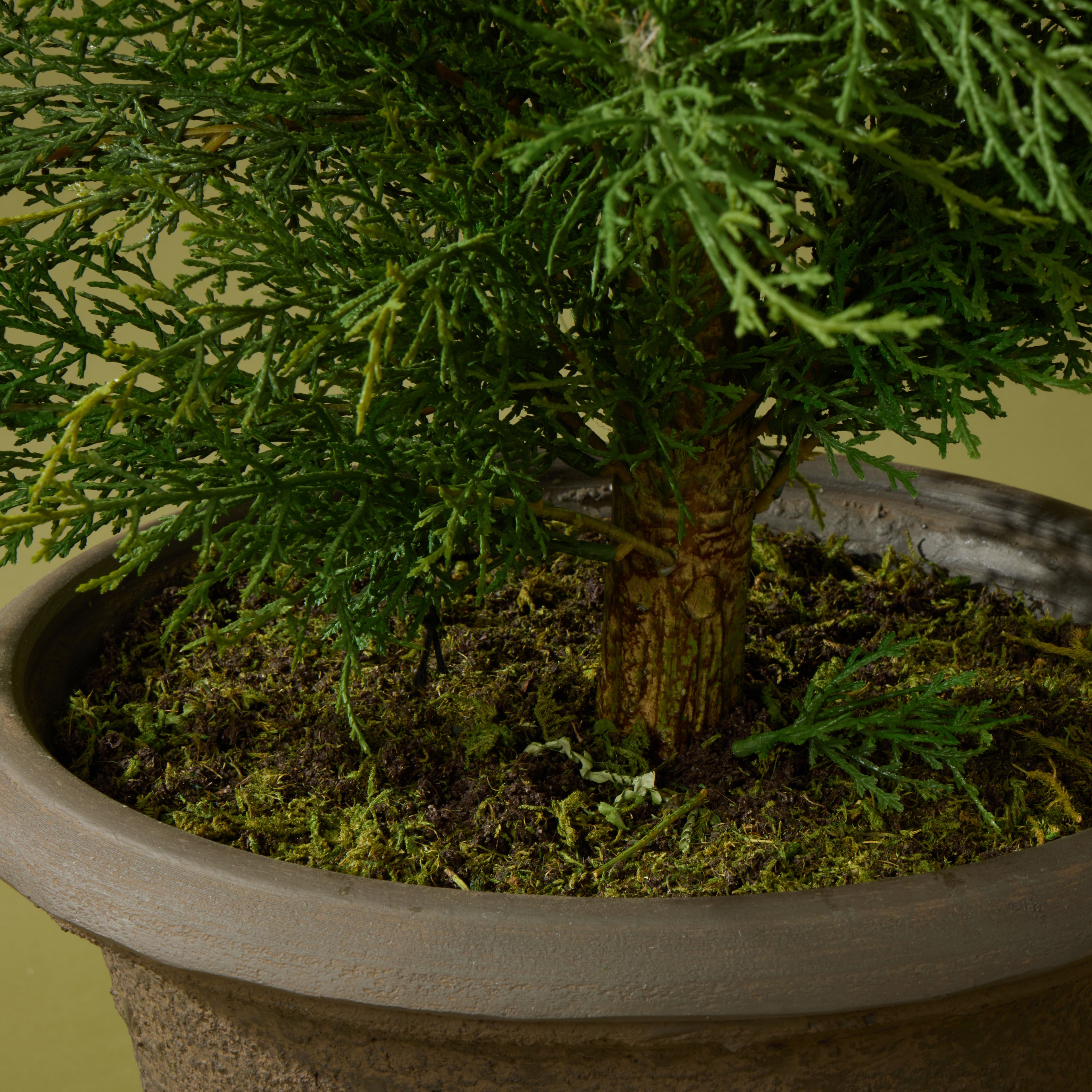 Faux Conifer Tree UV Treated - Vintage Urn | 175cm