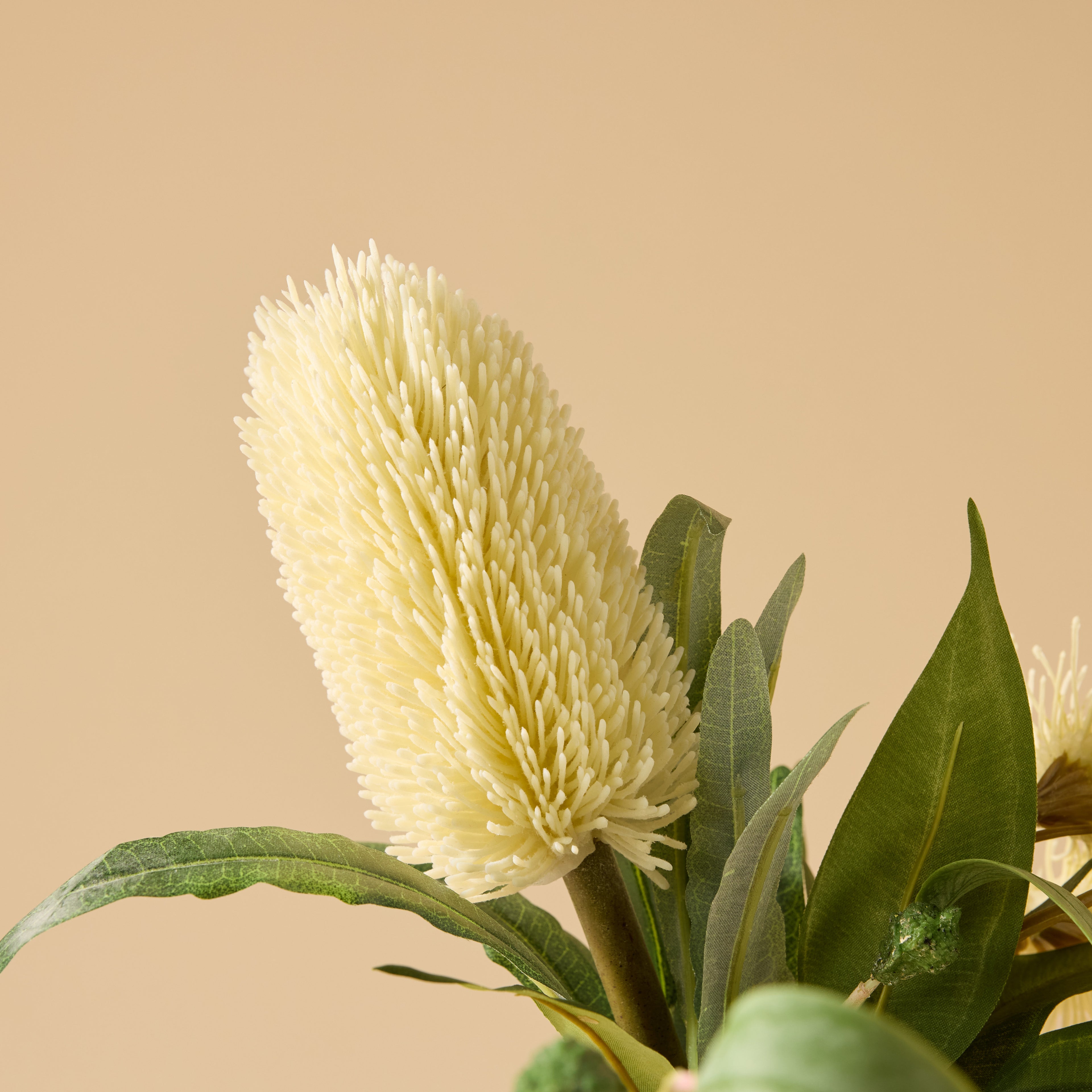 Faux Banksia Eucalyptus Arrangement - Glass Vase | Cream - 38cm