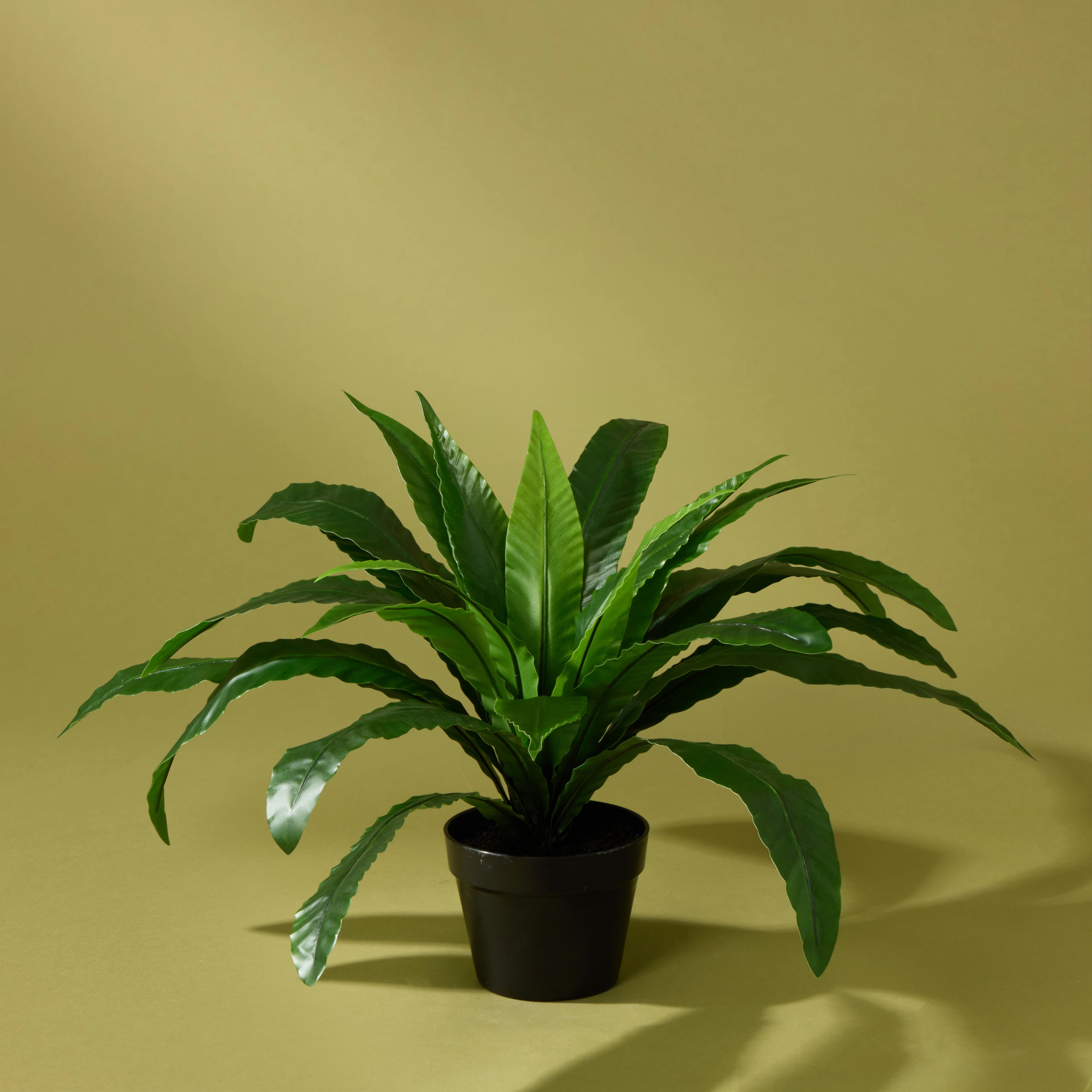 Faux Bird Nest Fern UV Treated - Garden Pot | 55cm
